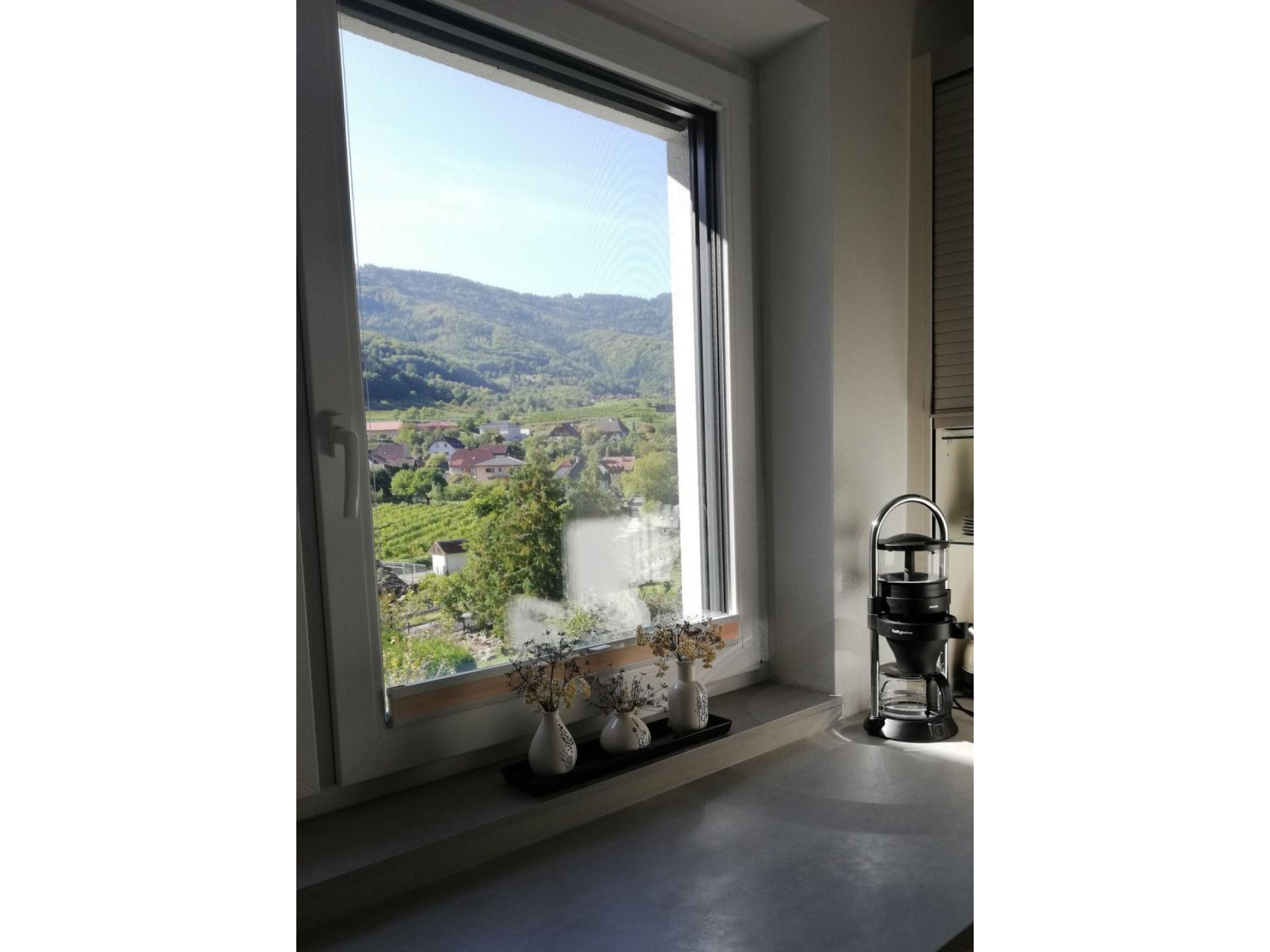 Ausblick vom Küchenf