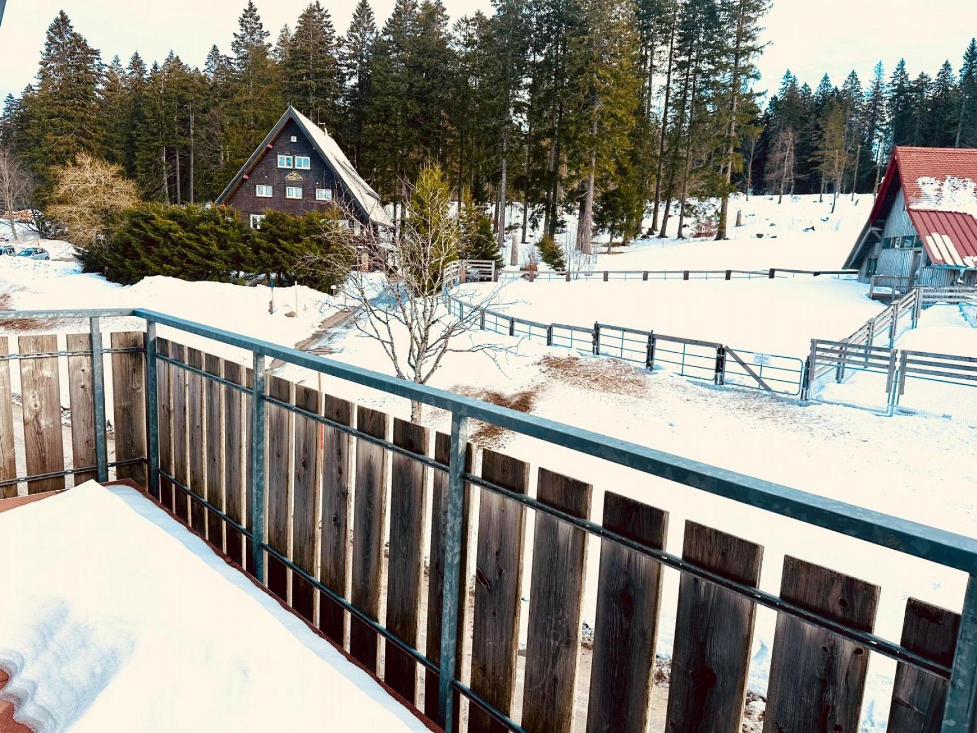 Blick vom Balkon