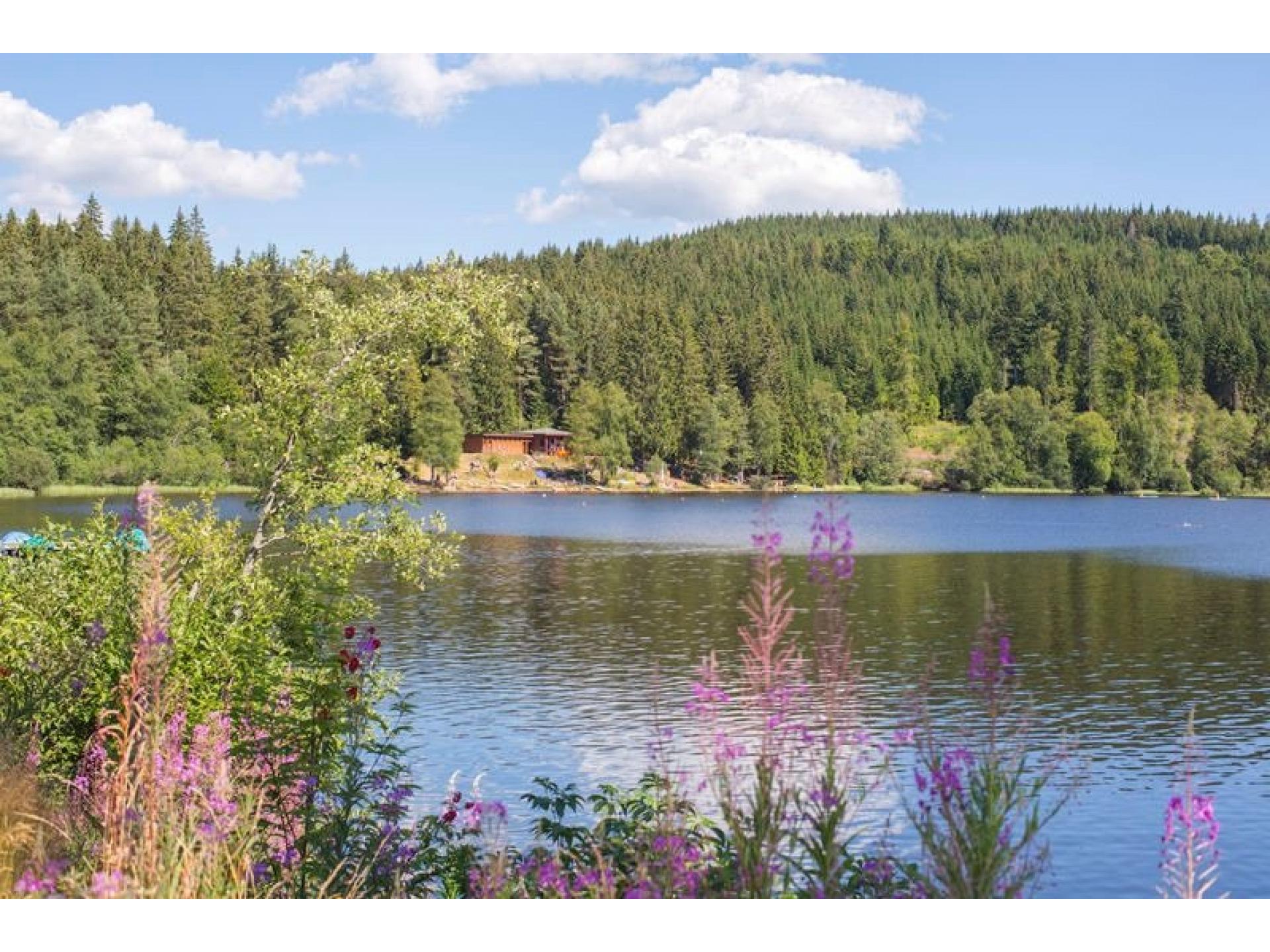 Ferienwohnung "Residenz Seebuck" direkt an der Skipiste, Ski in & Ski out am Feldberg! Foto 26