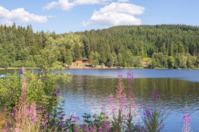 Ferienwohnung "Residenz Seebuck" direkt an der Skipiste, Ski in & Ski out am Feldberg! Foto 26