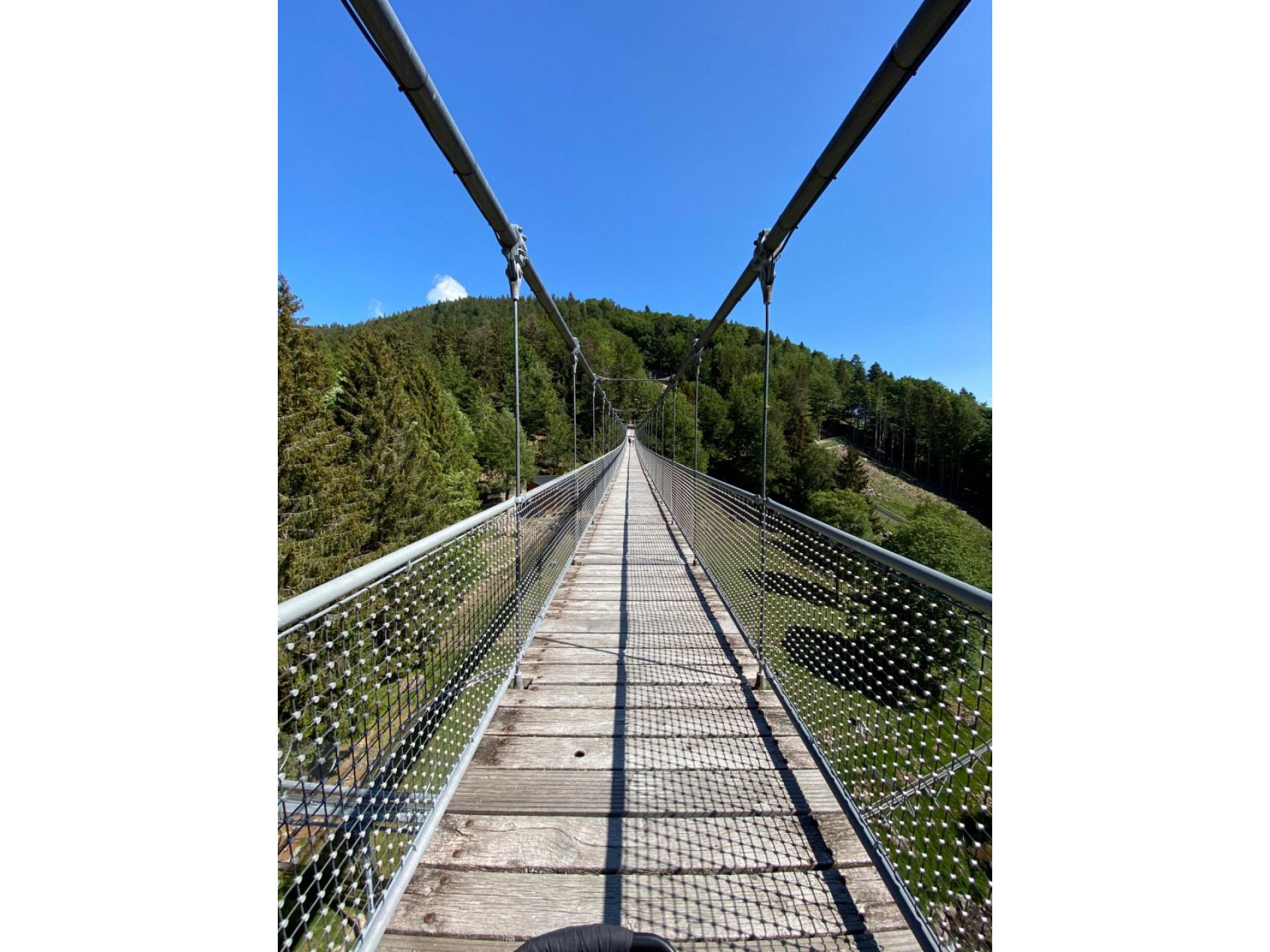 Blackforest Line Hän