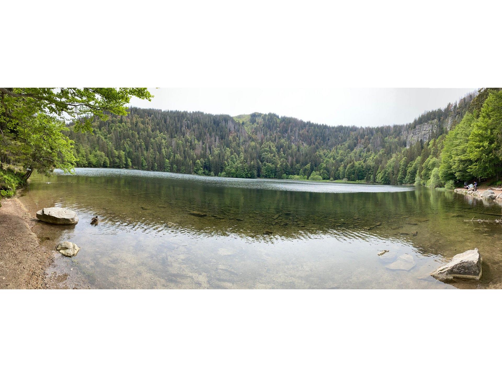 Feldsee