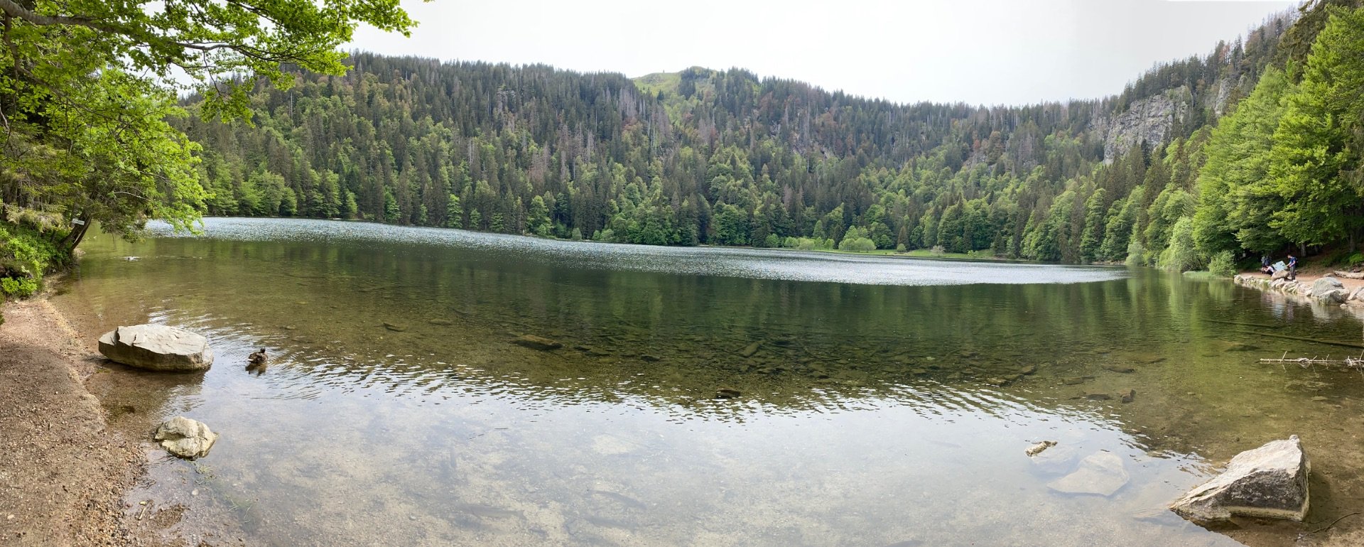 Feldsee