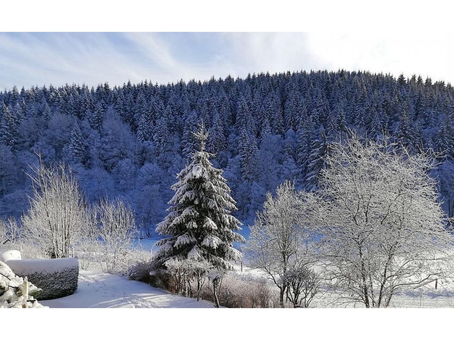 Balkonblick