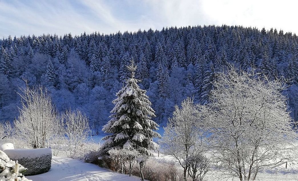 Balkonblick