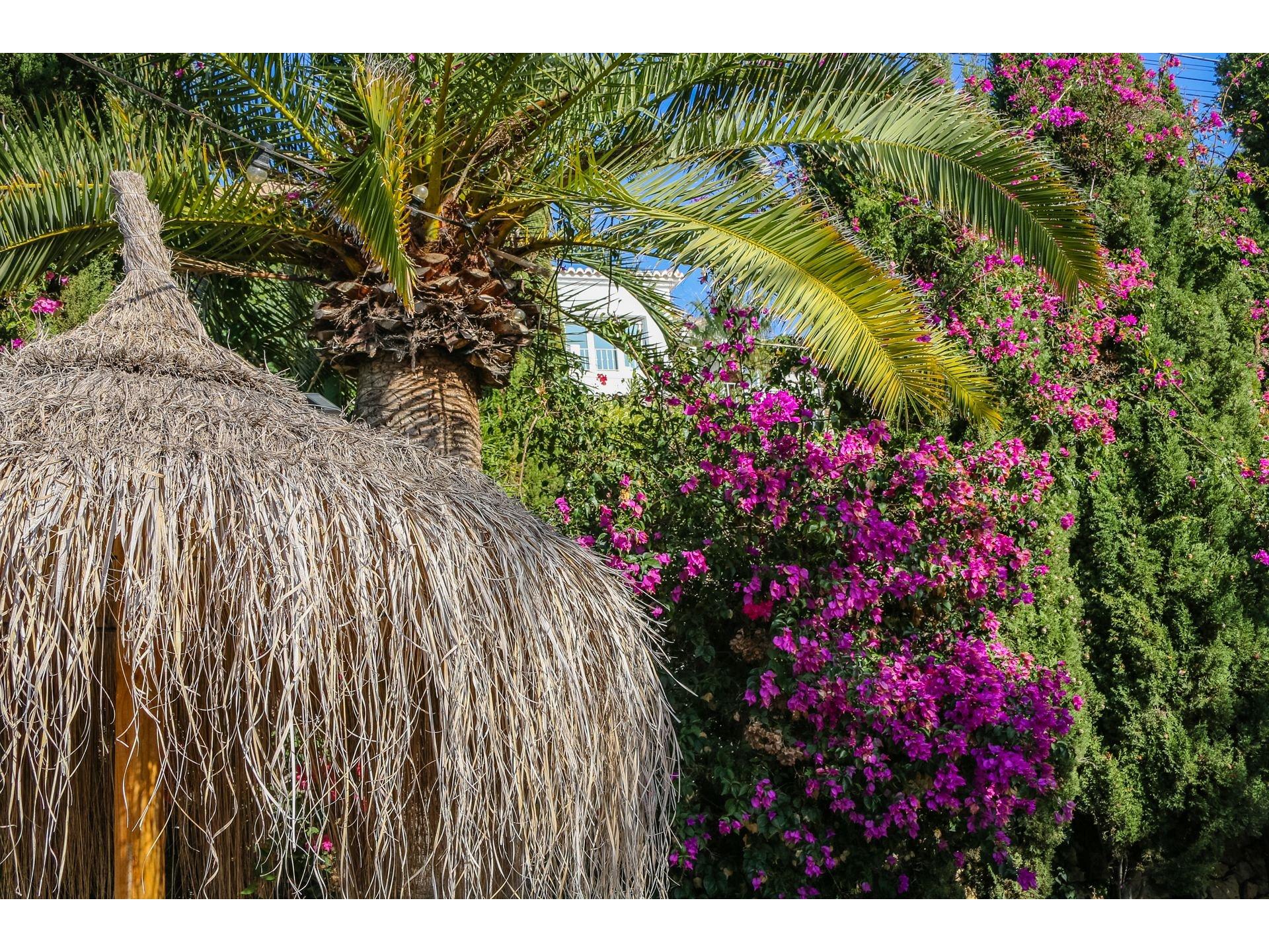 Apartment Merluza Foto 27