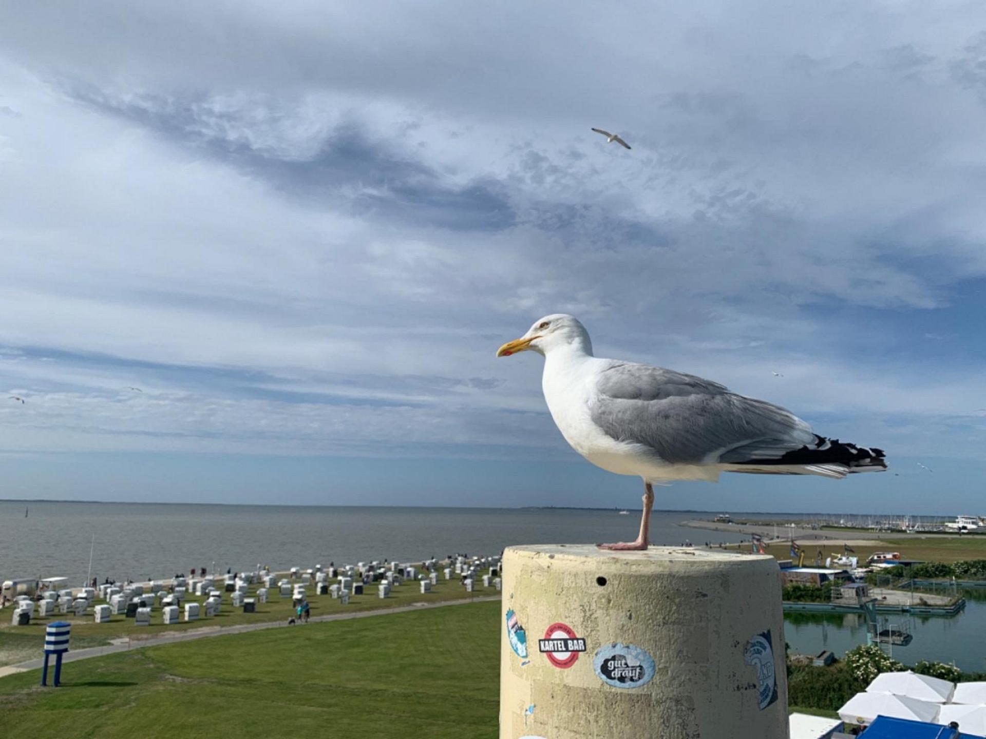 Norddeich