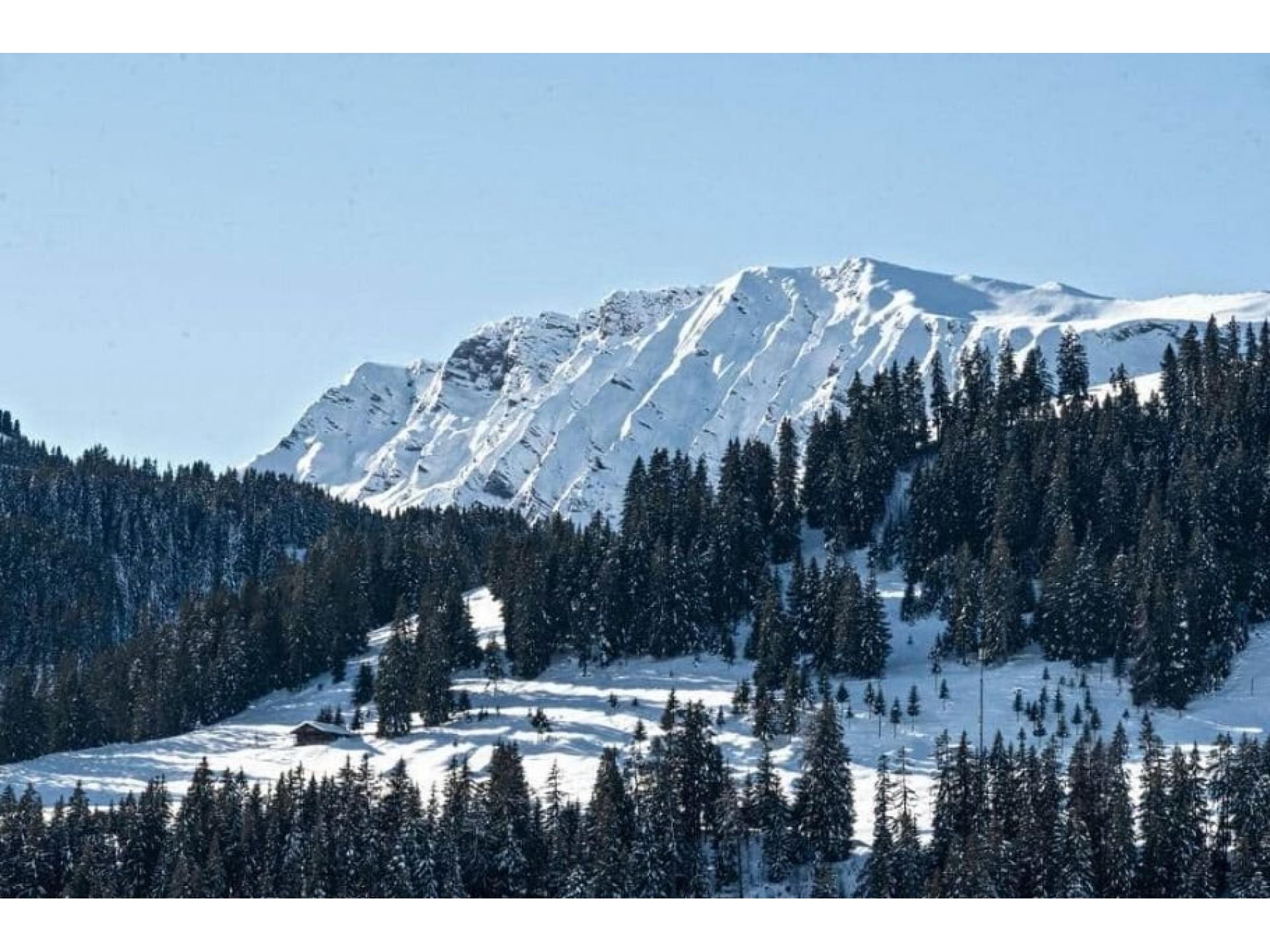 Chalet Halten Foto 21