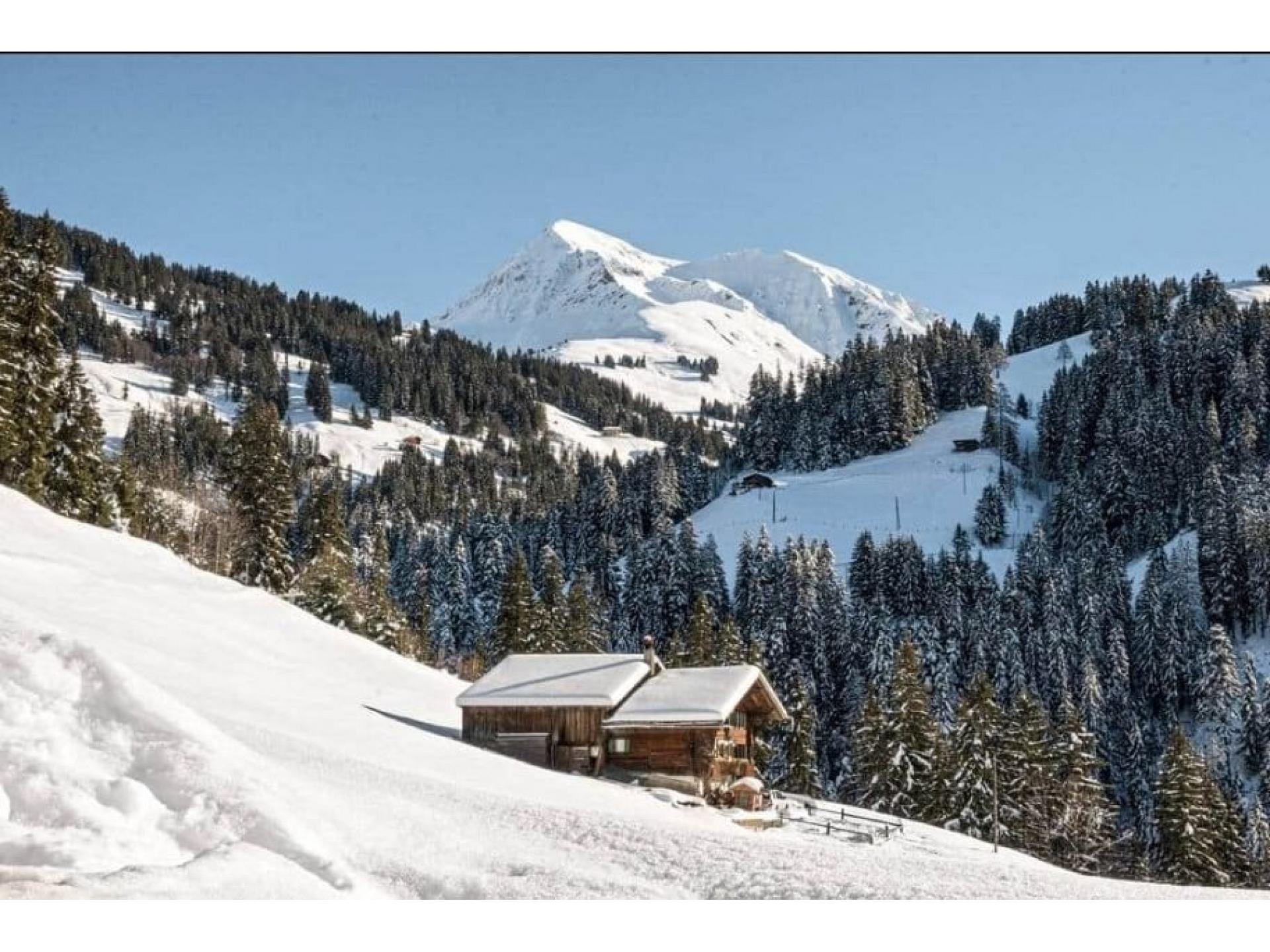 Chalet Halten Foto 22