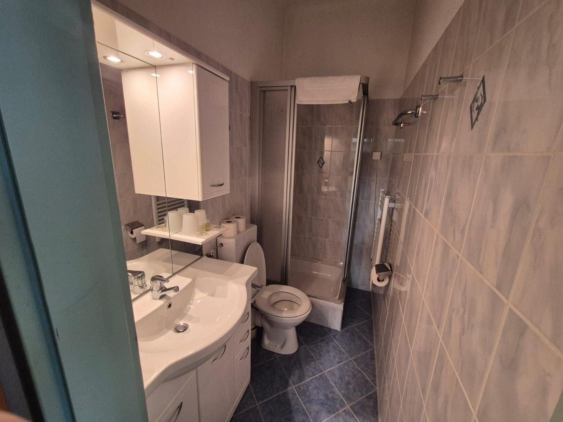 Room 018, Duschbad mit WC