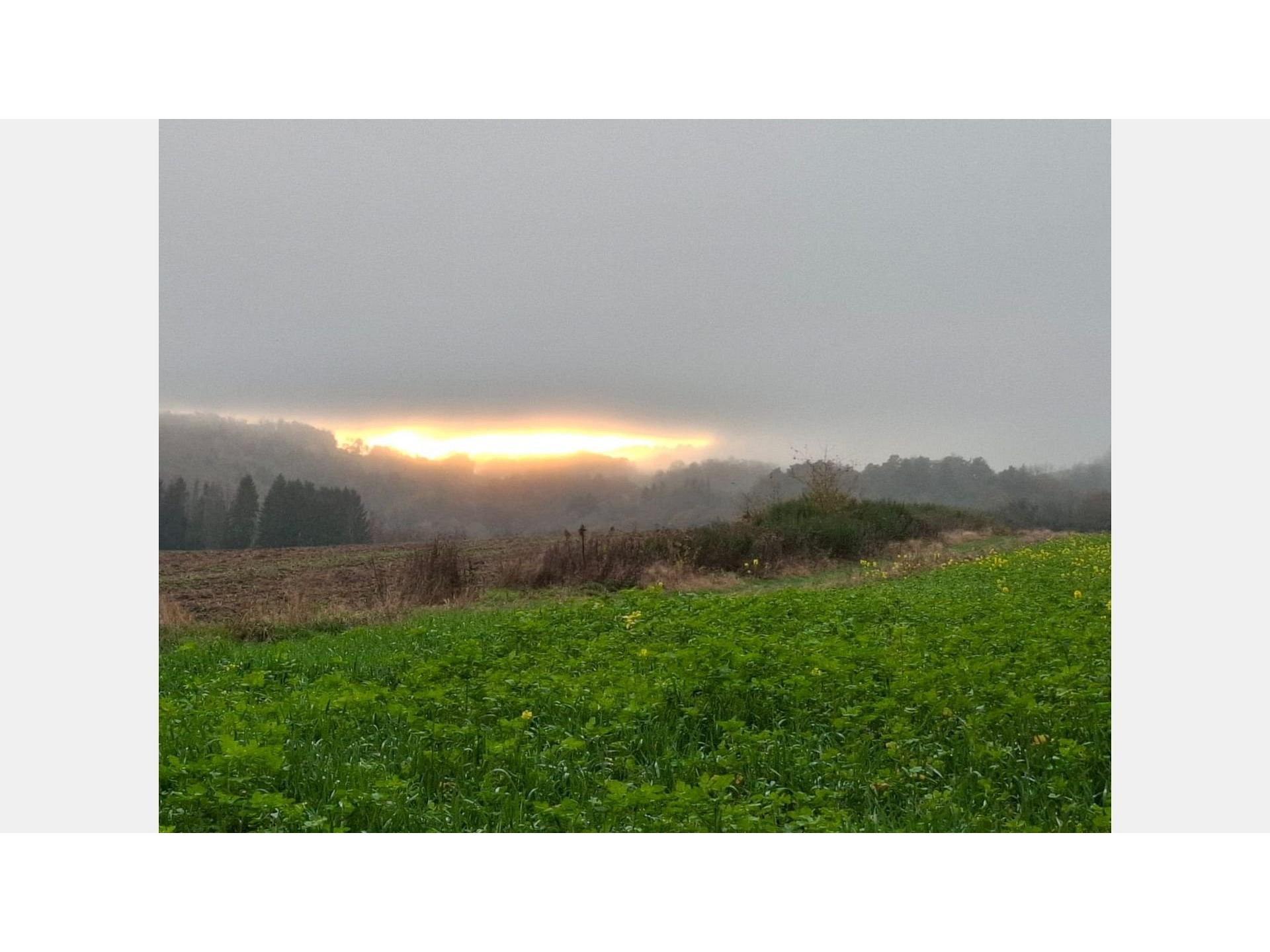 Hebels Auszeit Foto 23