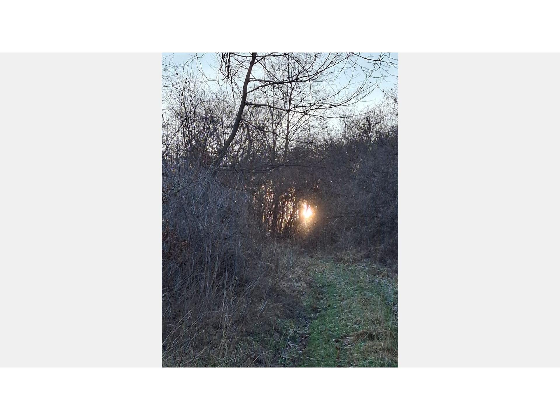 Hebels Auszeit Foto 25