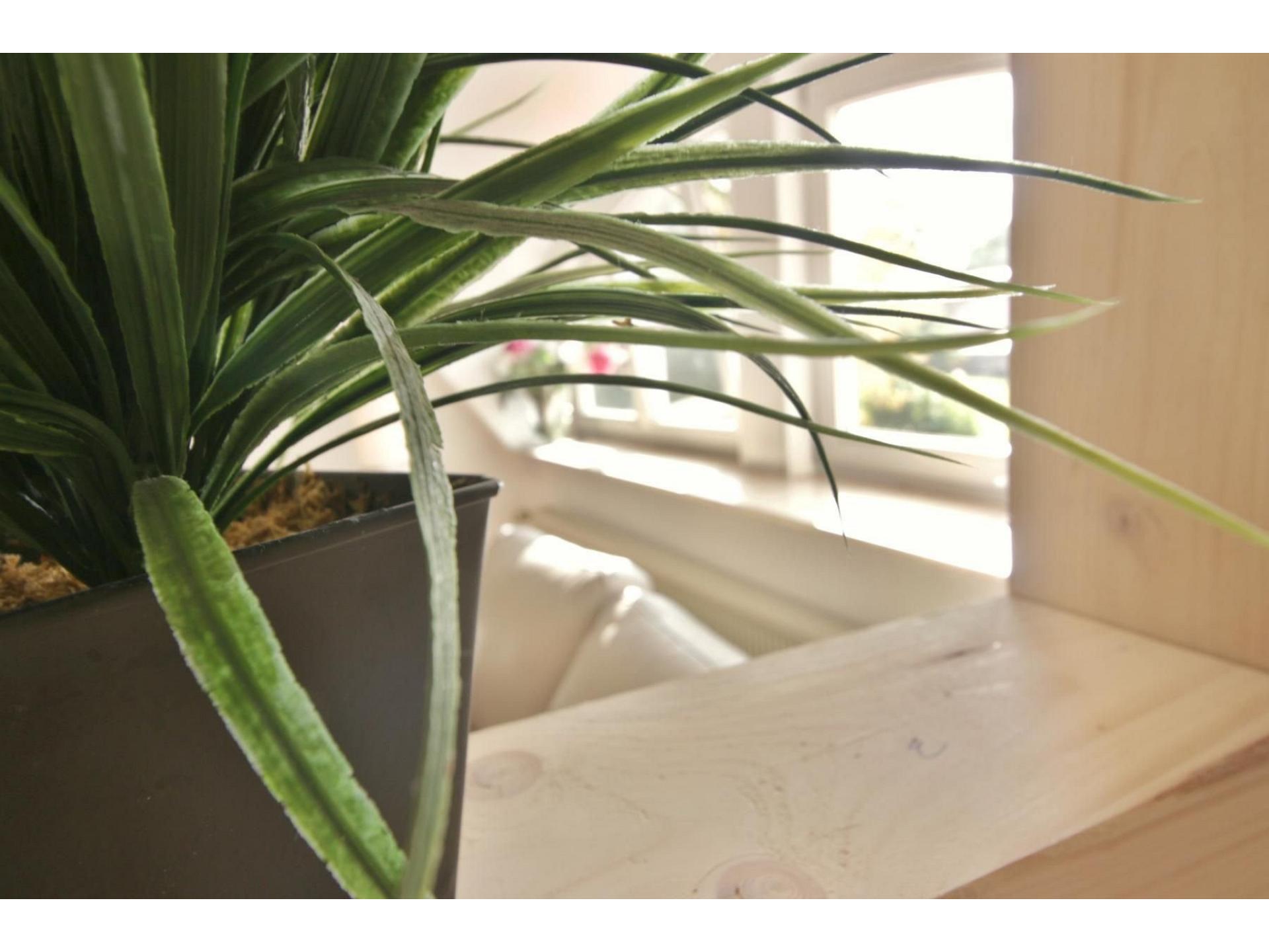 Wohnung 47 Foto 11