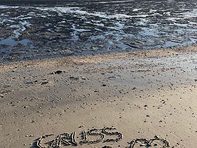 FeWo Schillig 48.3.N