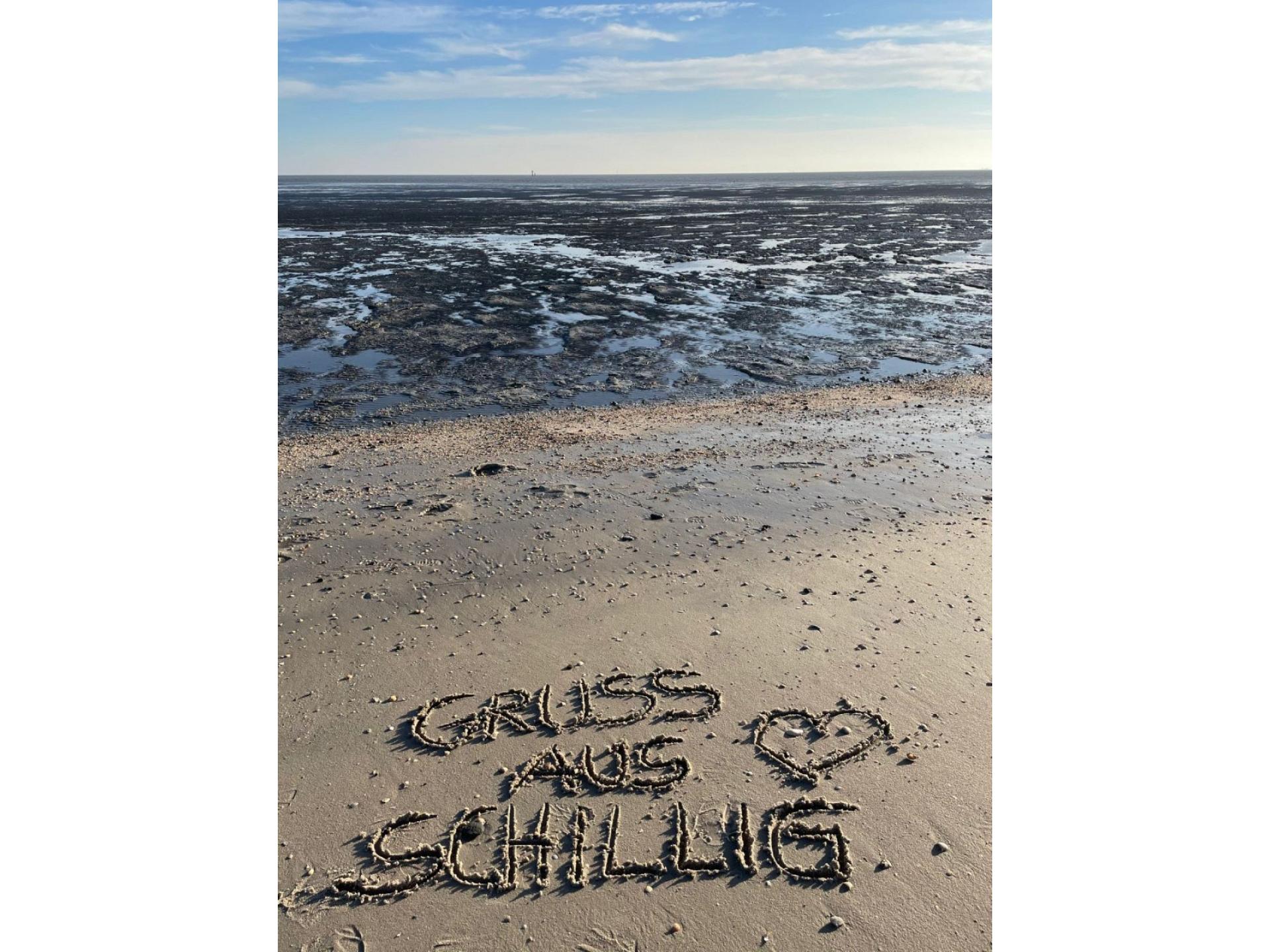 FeWo Schillig 48.3.N