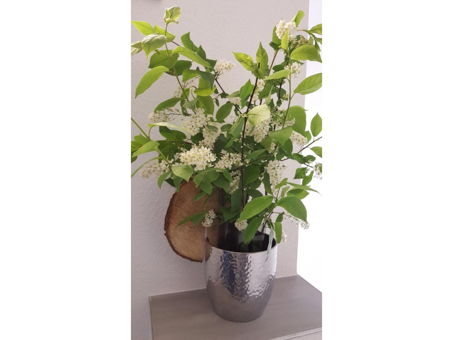 Apartment by Janzen (O)