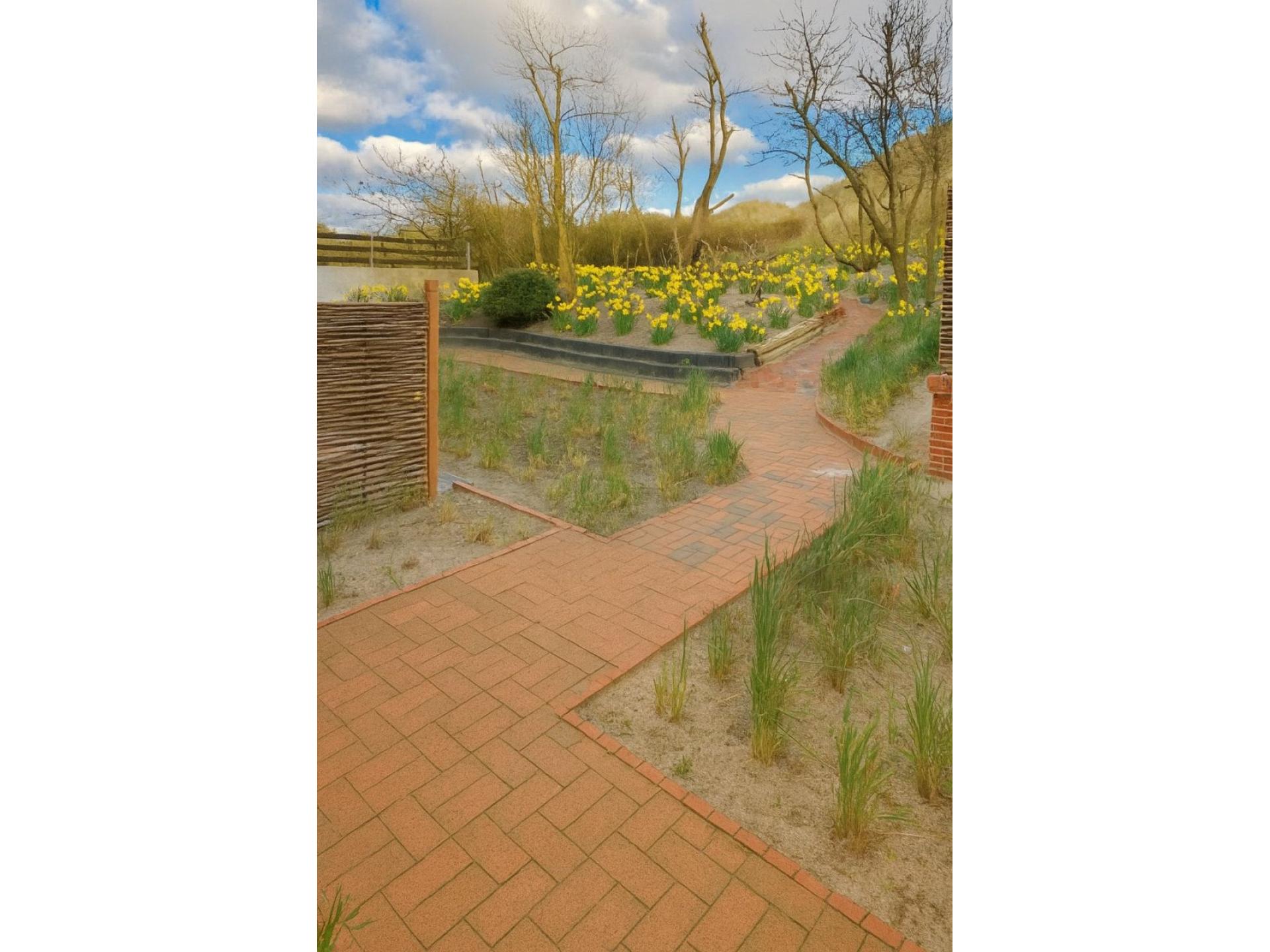 Juister Zauber Ferienwohnung Sonnendüne Foto 13