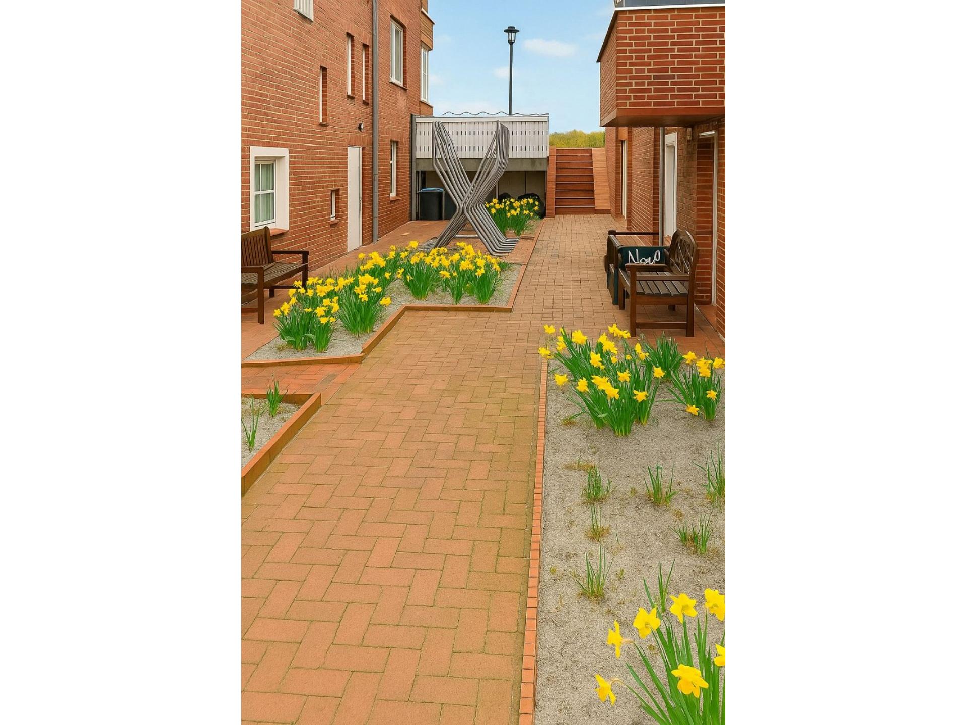 Juister Zauber Ferienwohnung Sonnendüne Foto 14