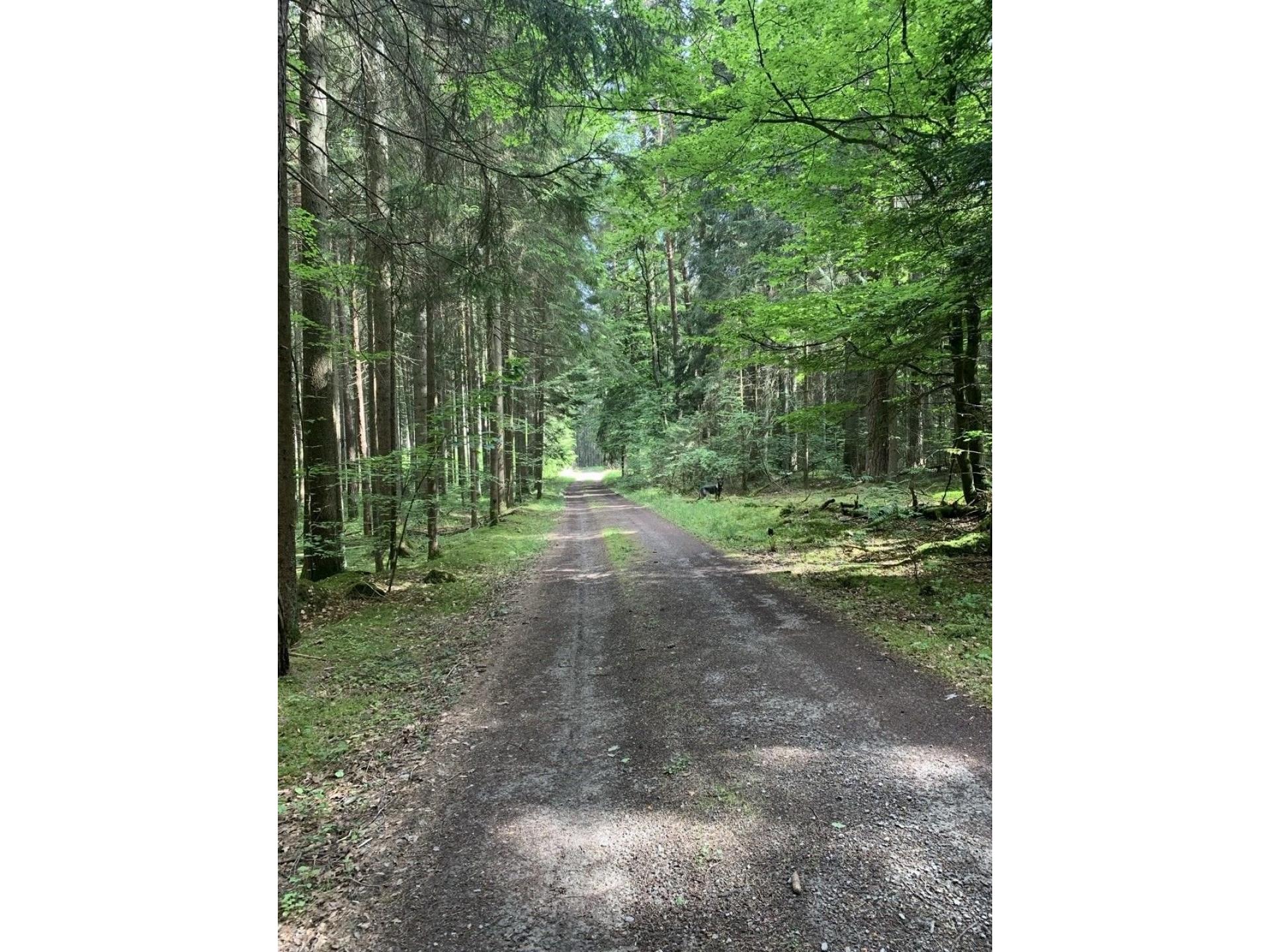 Viele Wanderwege
