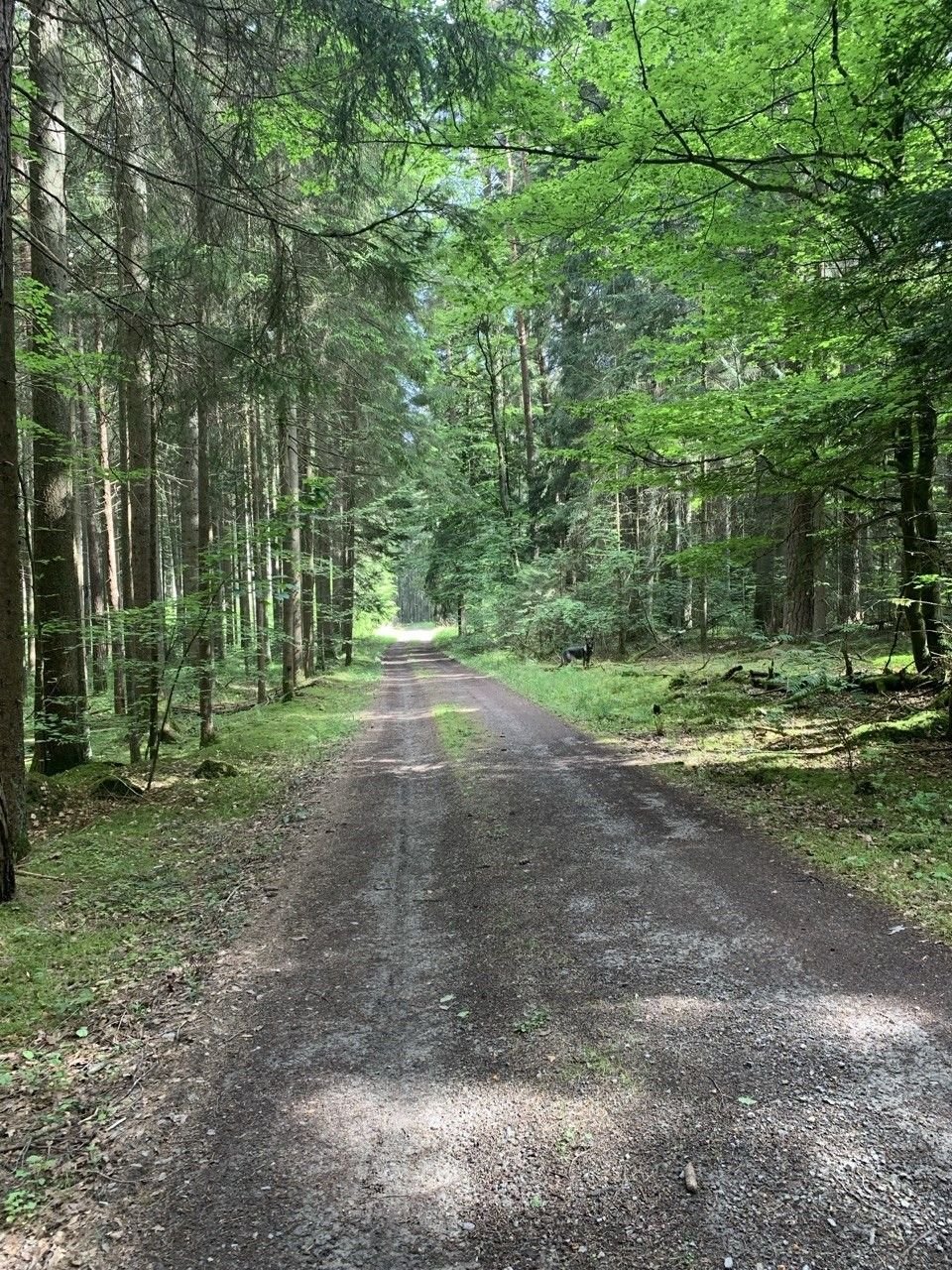 Viele Wanderwege