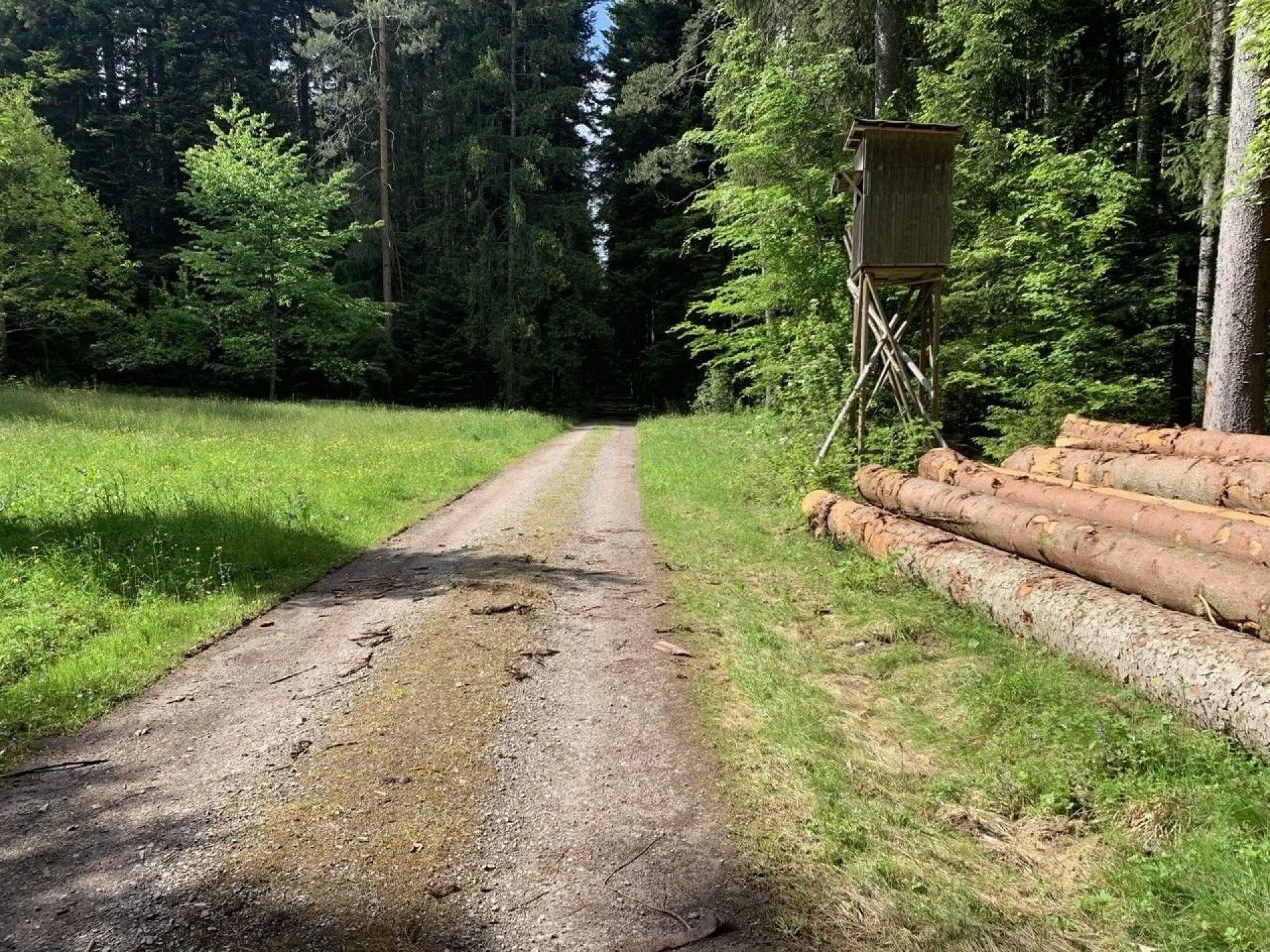 Gleich vor dem Appartemen