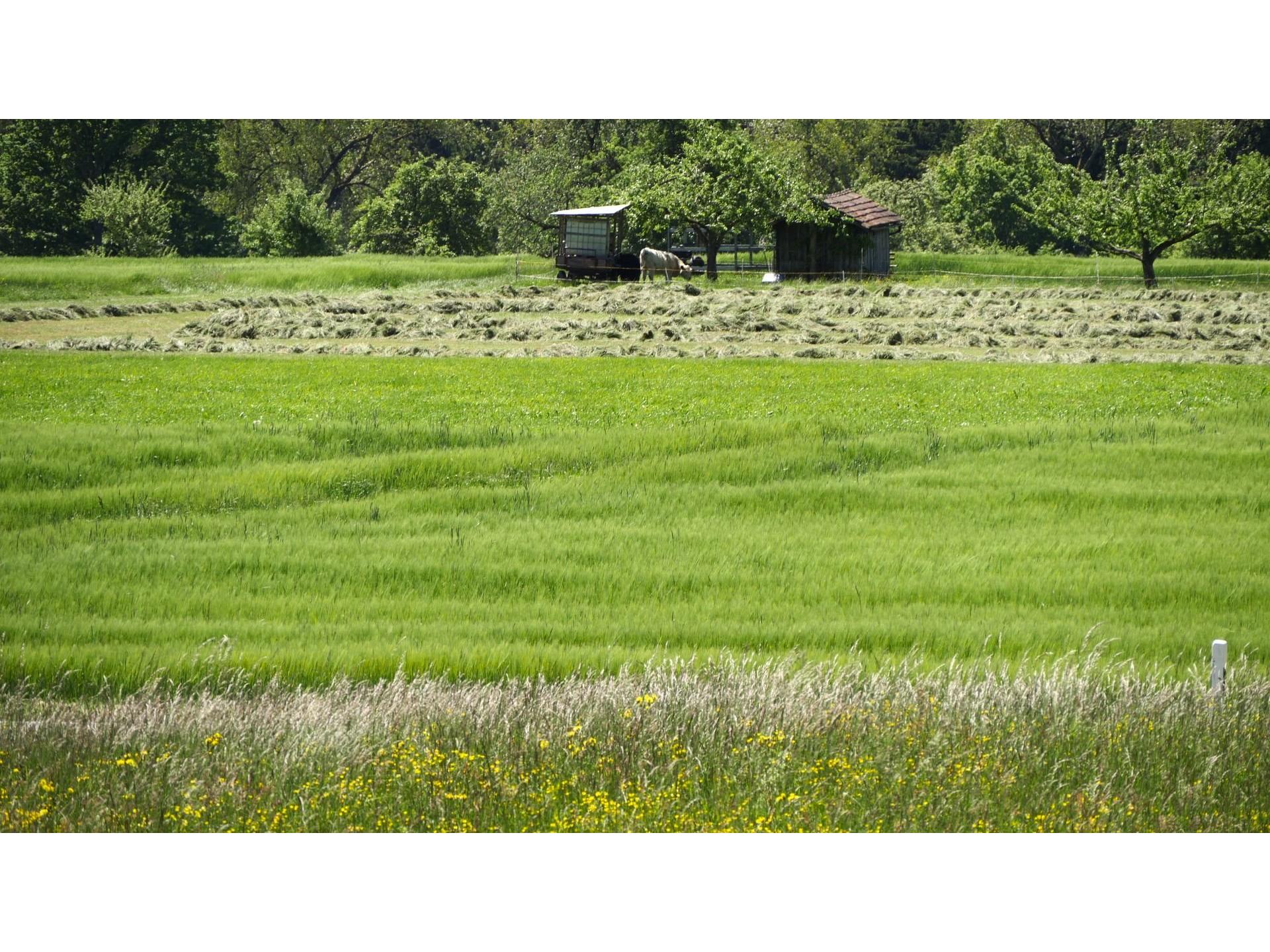 Blick in die Umgebung