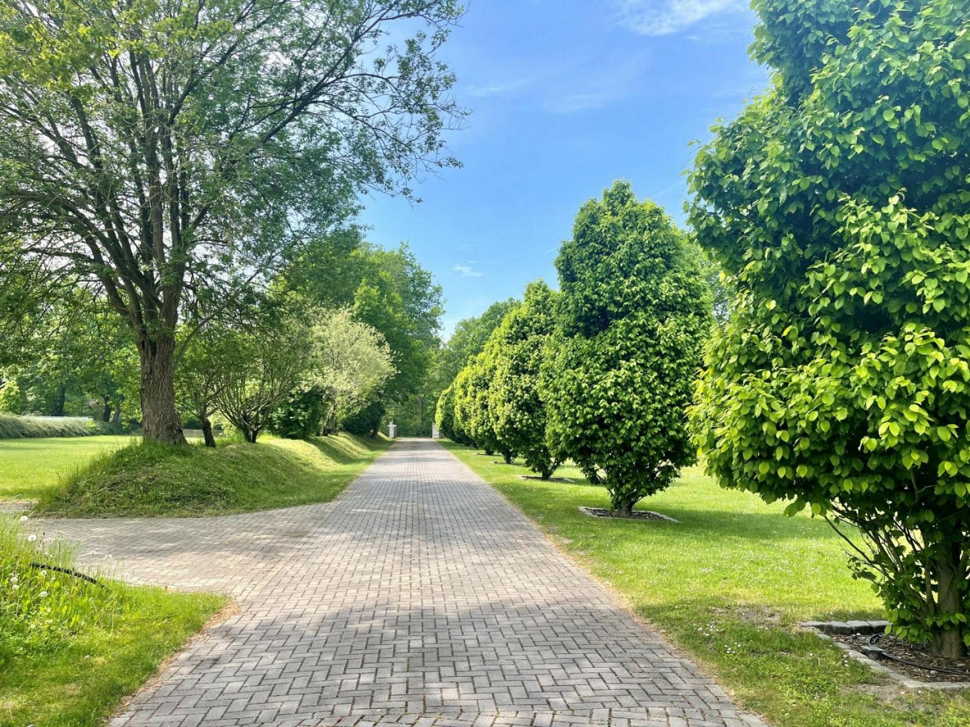 Ruhiges Landhaus am Wald mit Garten Foto 24