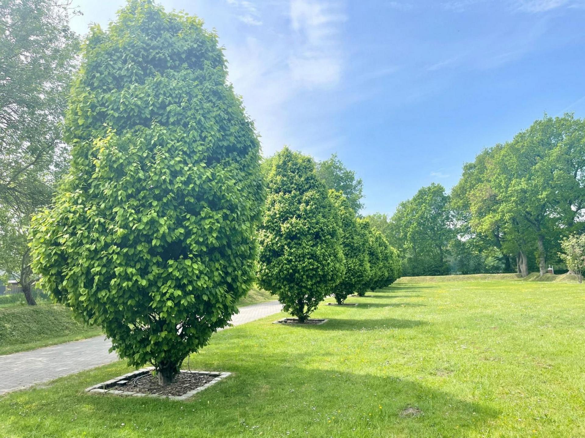 Ruhiges Landhaus am Wald mit Garten Foto 29