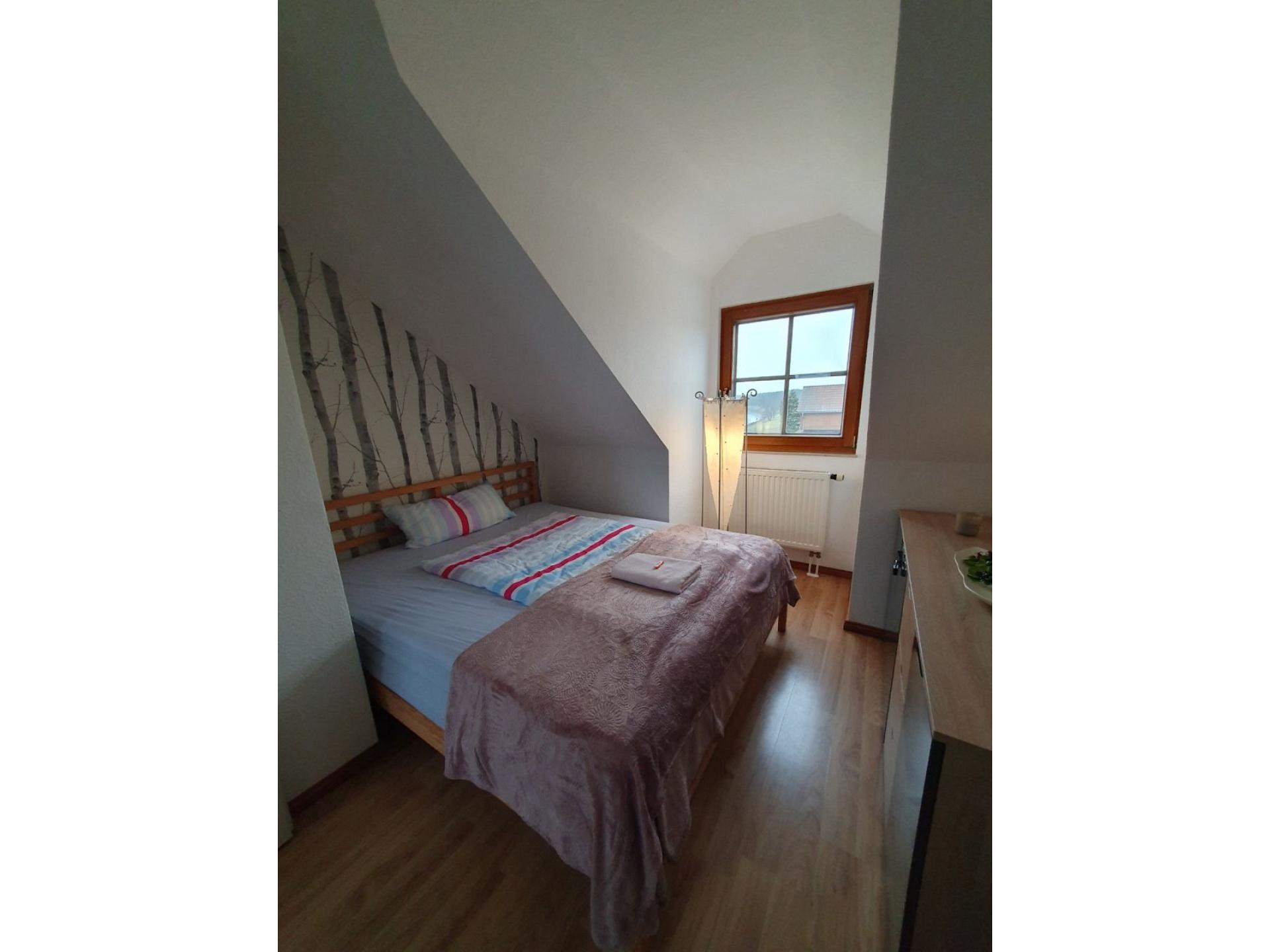 Gästewohnung Elbblick Kreinitz Foto 16
