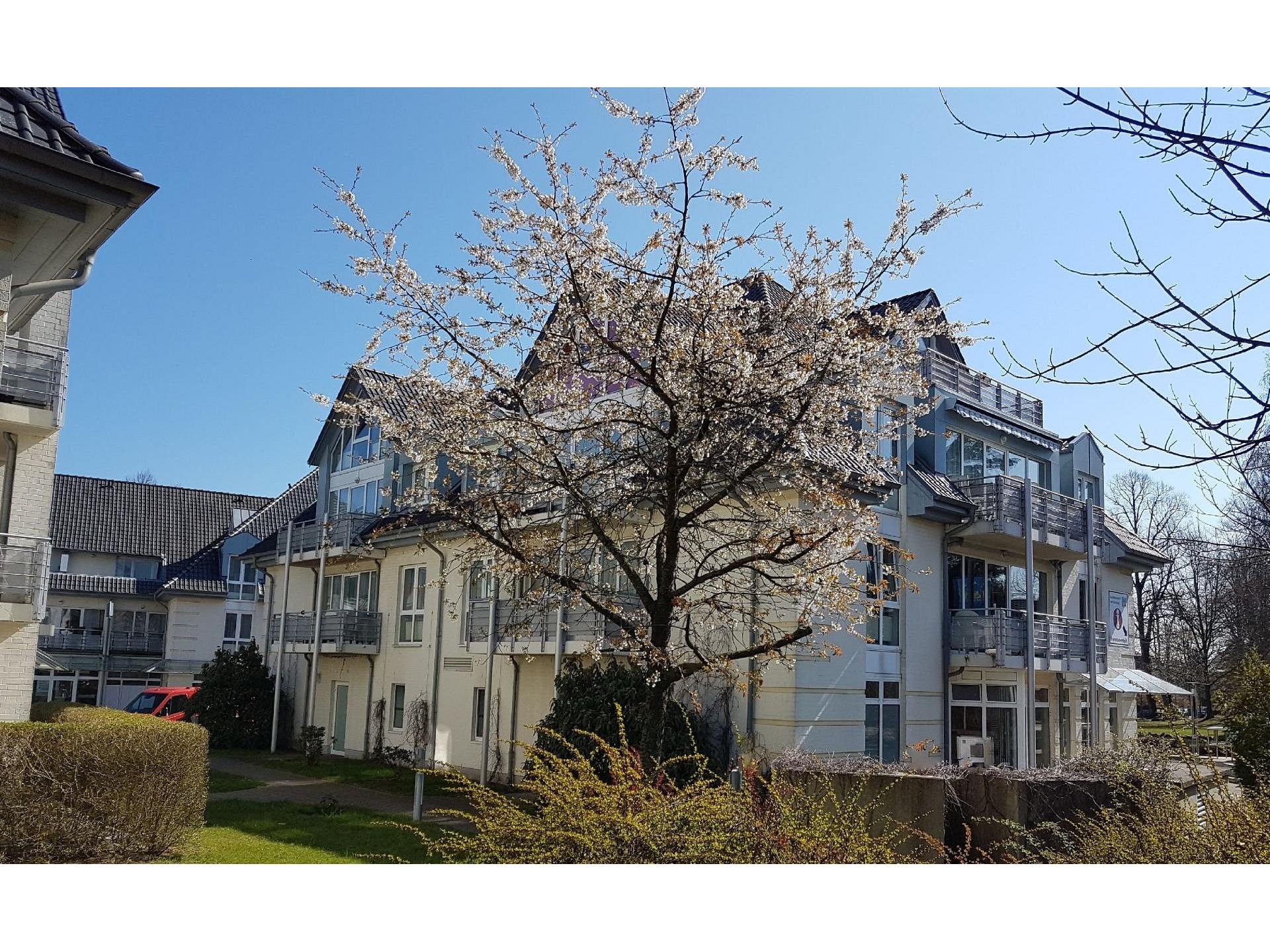 Ferienwohnung Residenz Seestern Foto 17