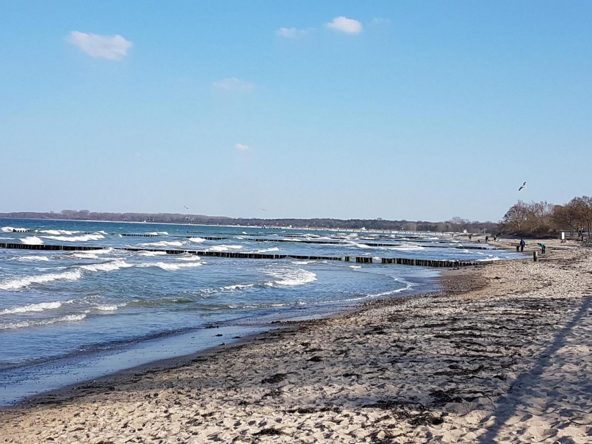 Ferienwohnung Residenz Seestern Foto 25