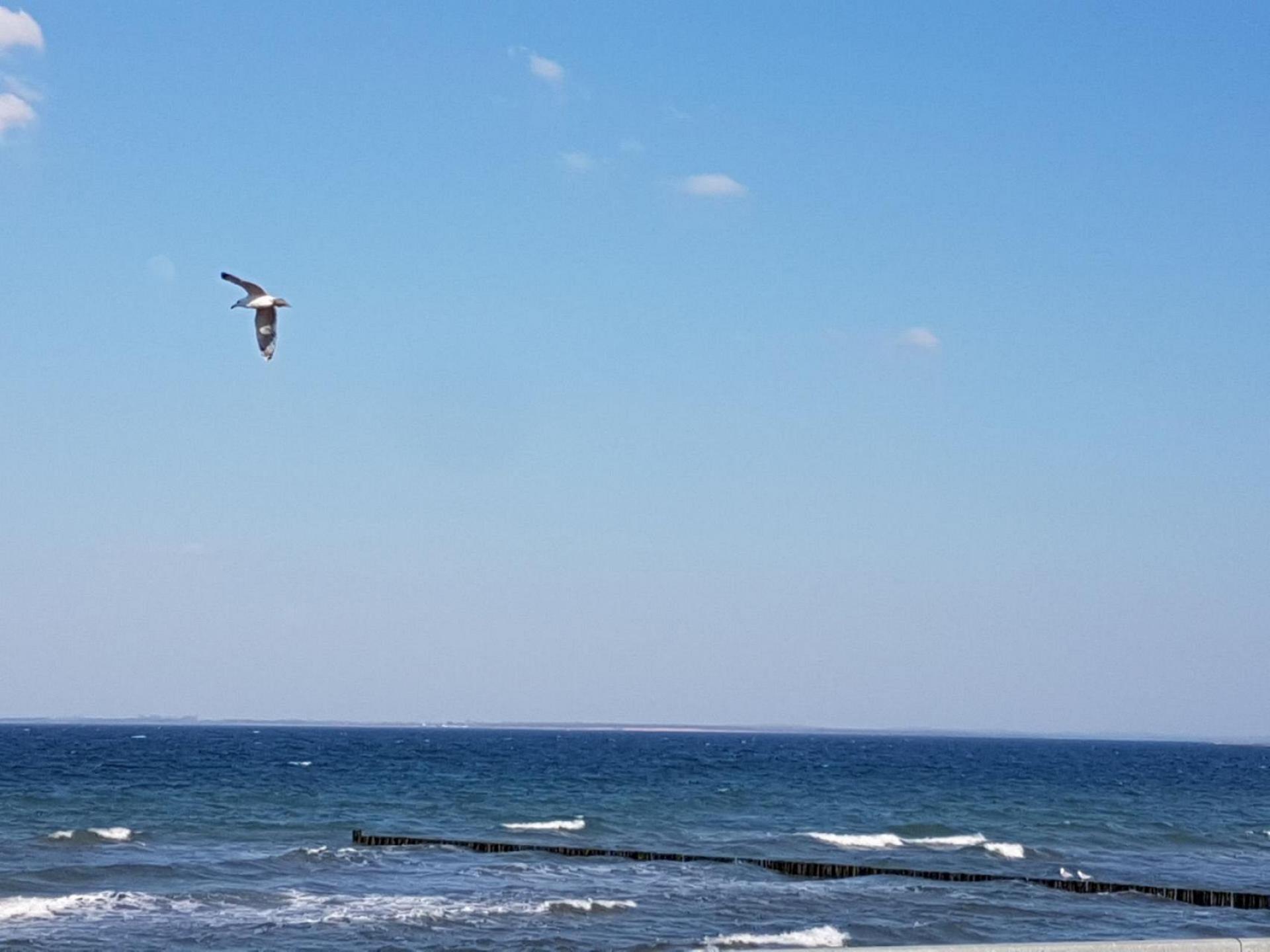 Ferienwohnung Residenz Seestern Foto 26