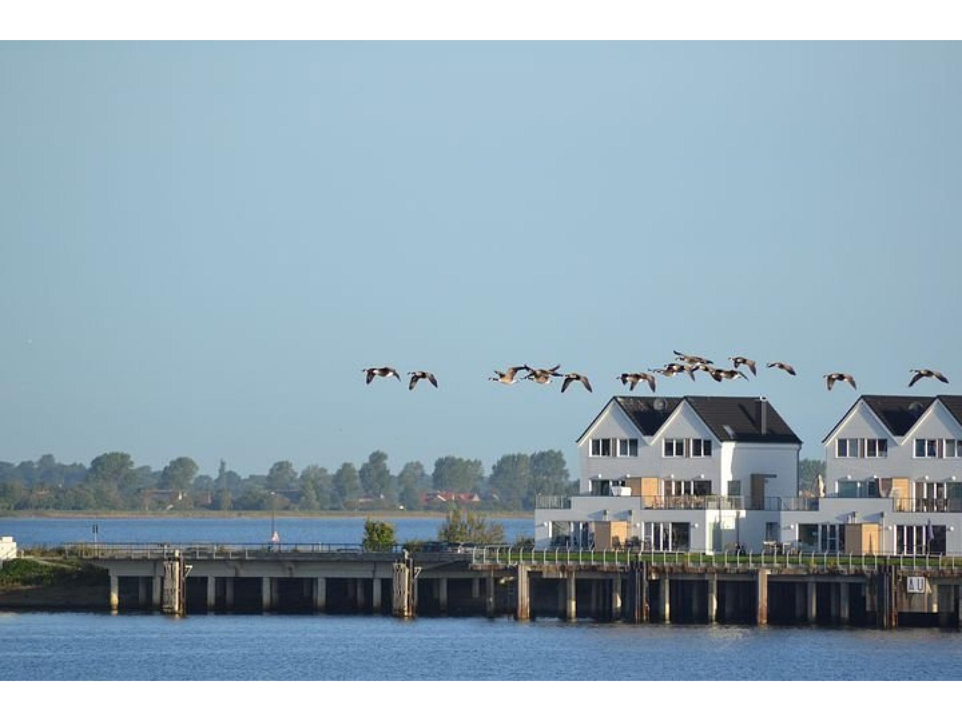 Ferienwohnung BOW 1-09 Foto 27