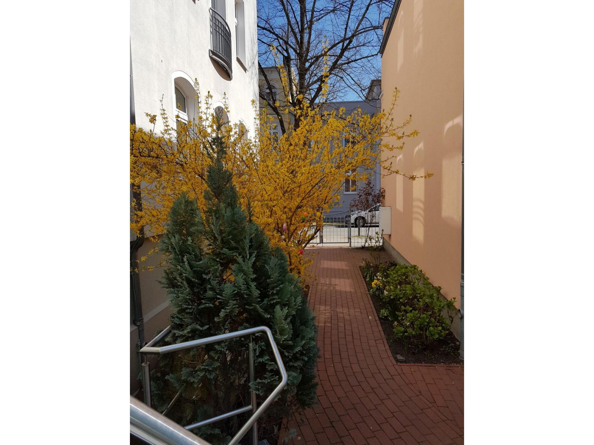 Ferienwohnungen Residenz Kurpark Foto 18