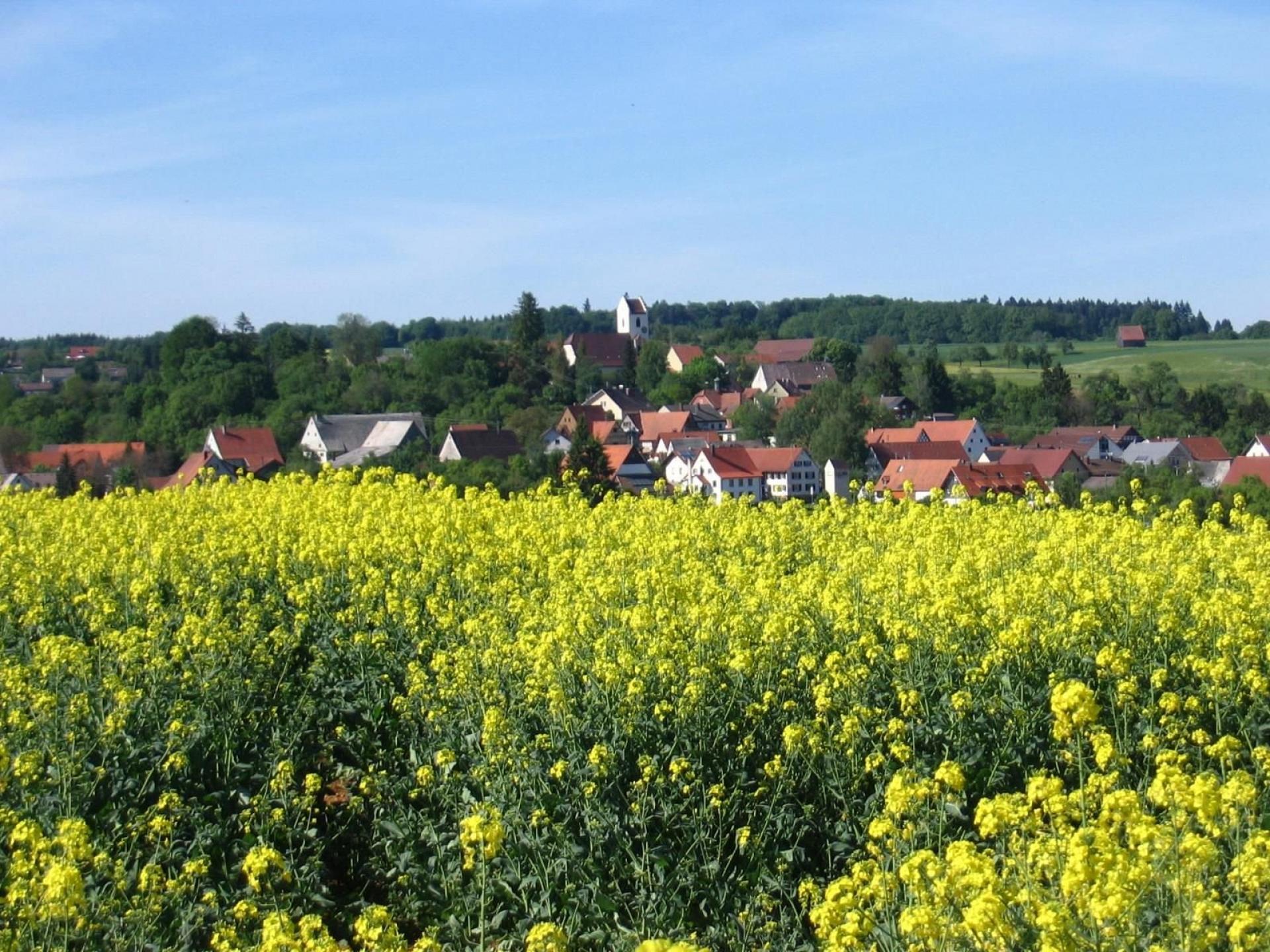 Ferienhaus im Feriendorf &Ouml;fingen Foto 23