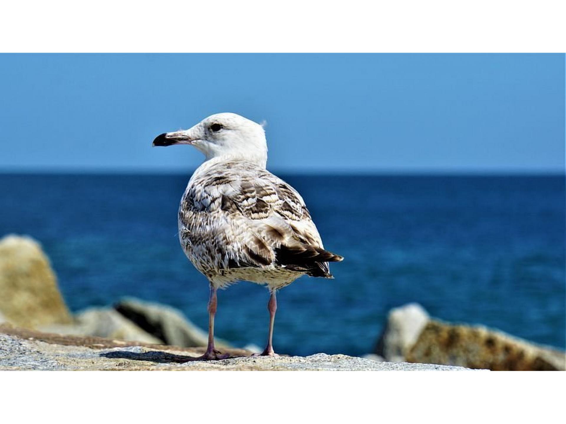 Fewo EIN 09 Villa Eintracht Foto 27