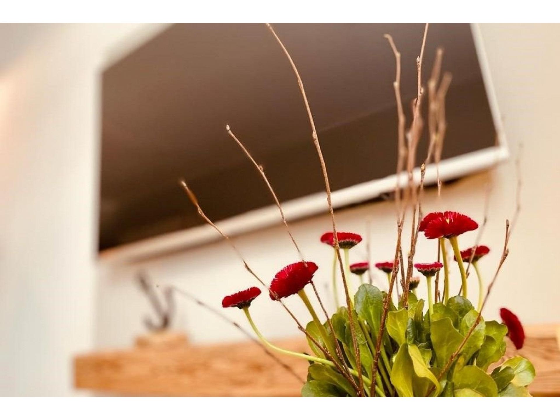 Fewo EIN 09 Villa Eintracht Foto 7