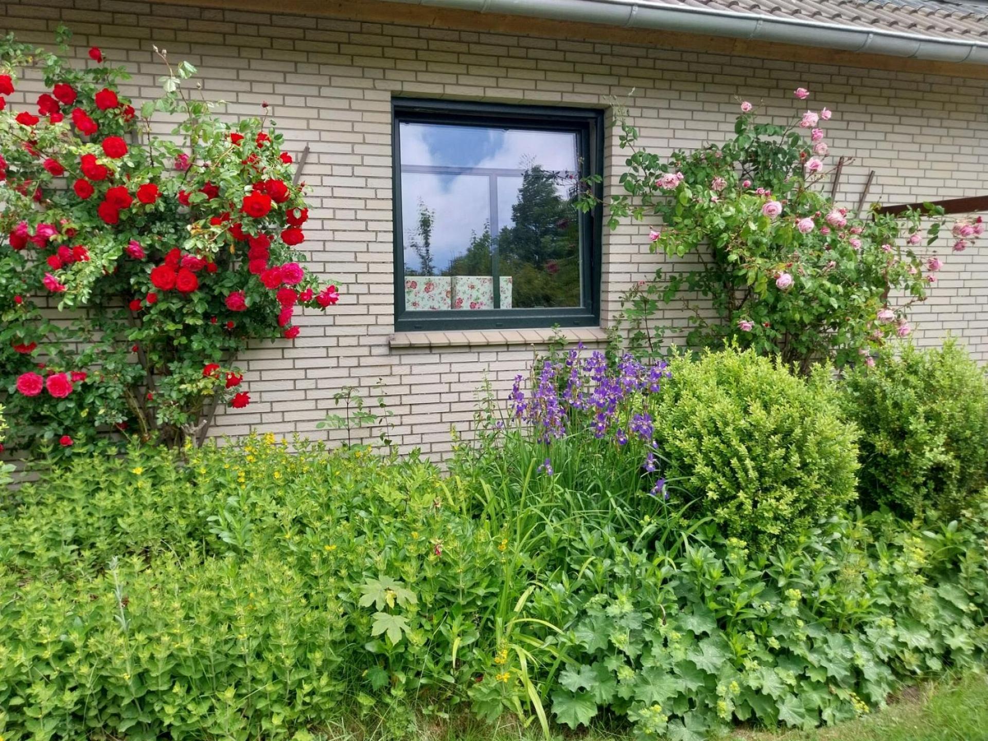 Fewo Stillh&ouml;rn 1 Foto 22