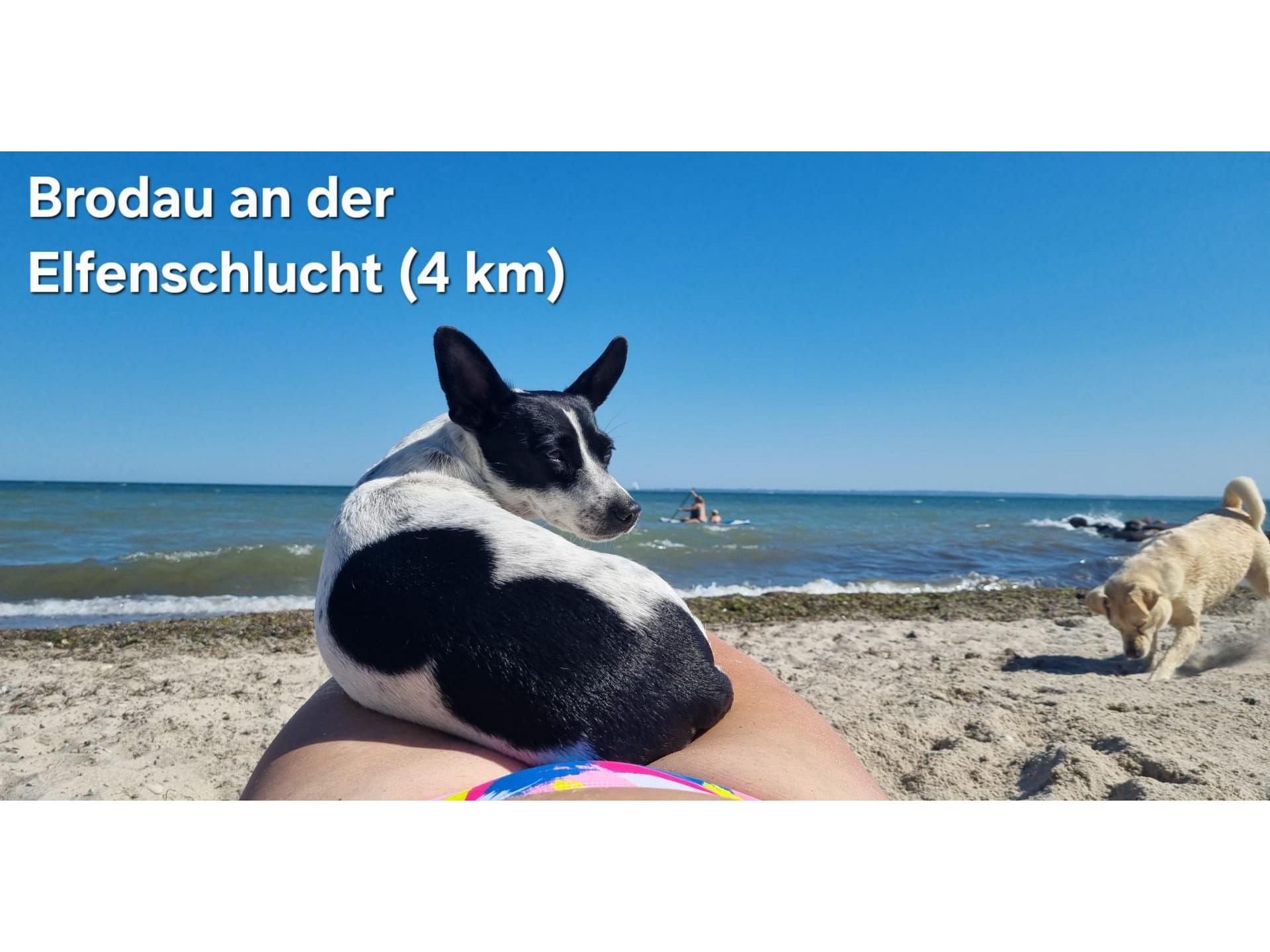 Naturstrand Brodau an der