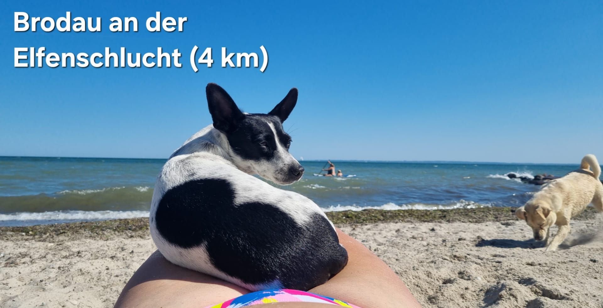 Naturstrand Brodau an der