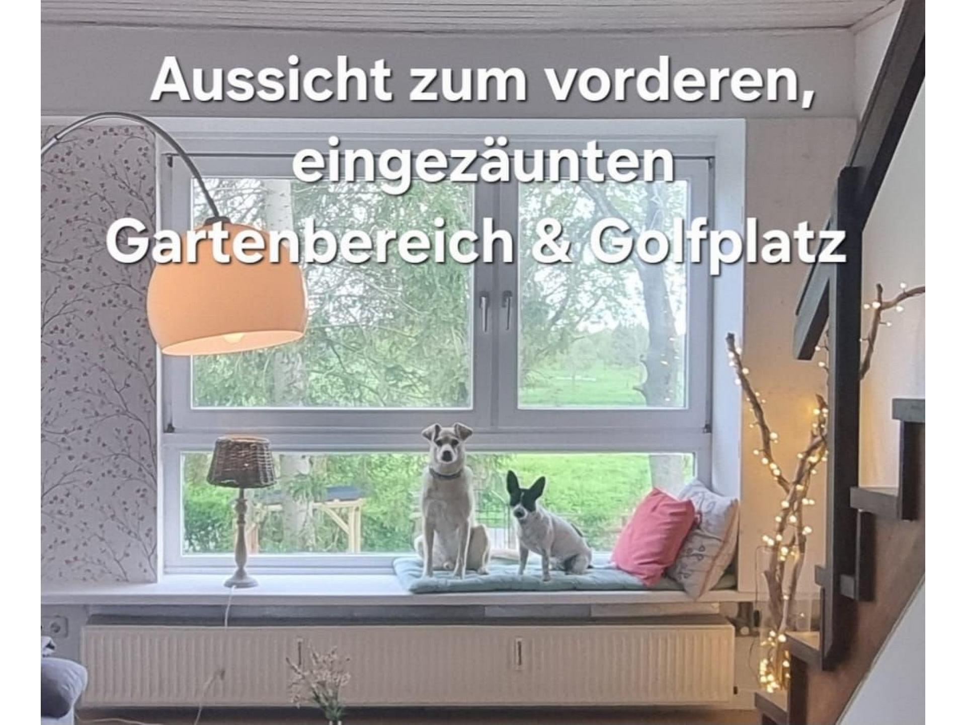 Grosses Panorama Fenster