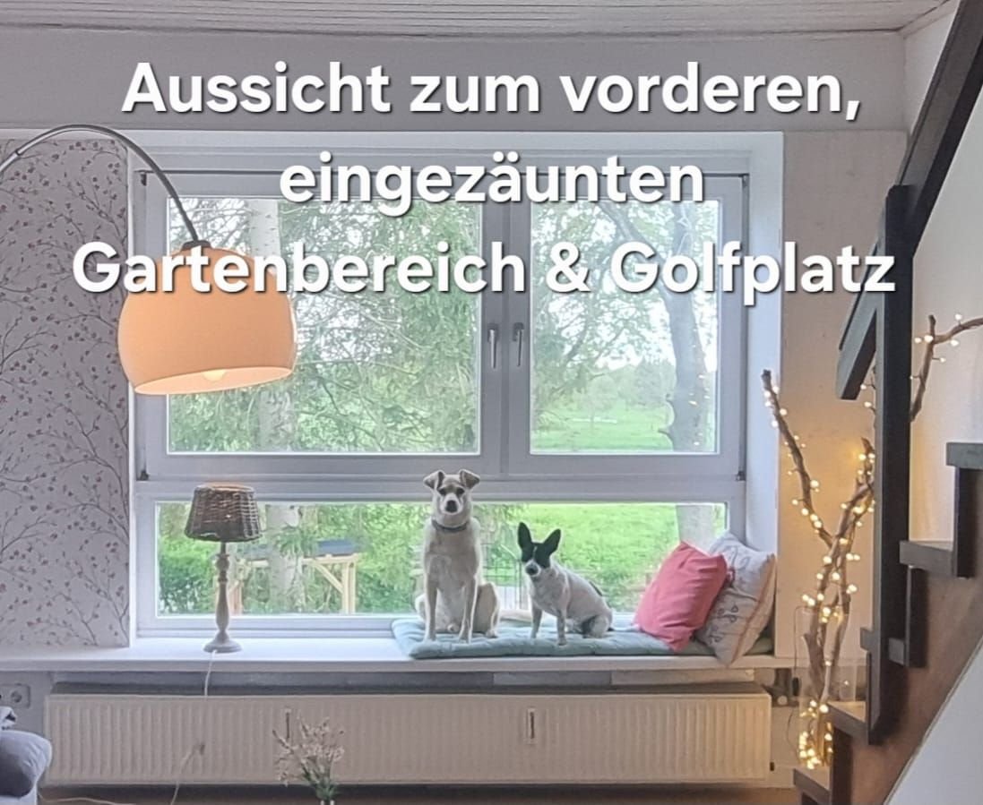 Grosses Panorama Fenster