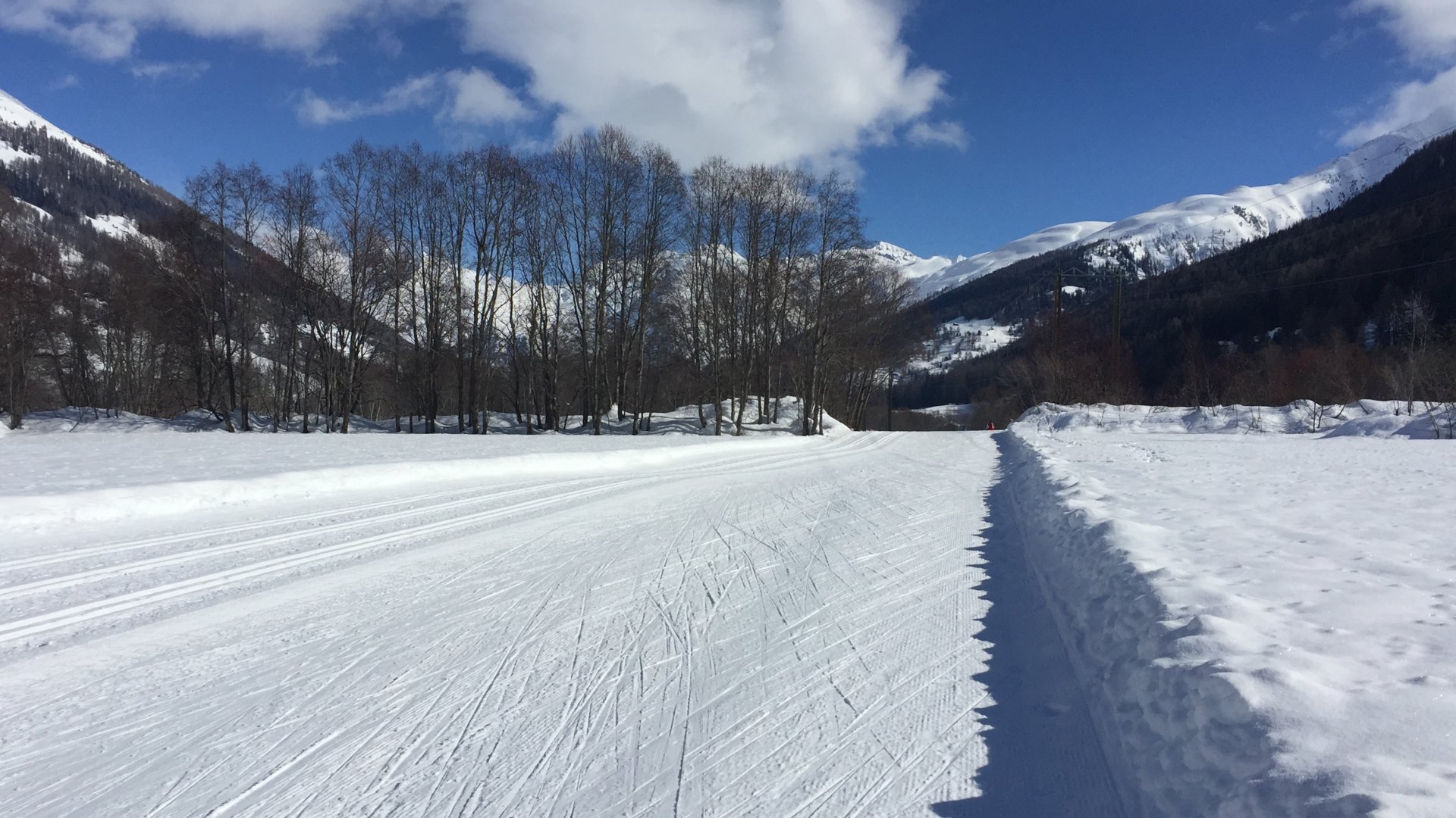 Privat - Header