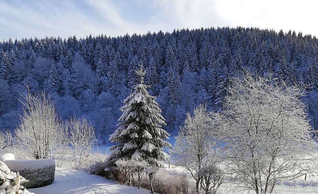 buereblick.de - Header