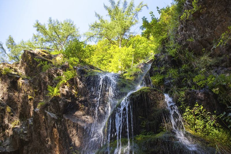 blackforestlounge.com - Header