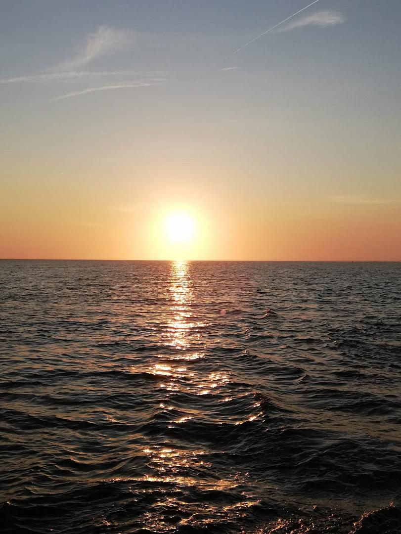 Insa Held Vermietung - Header