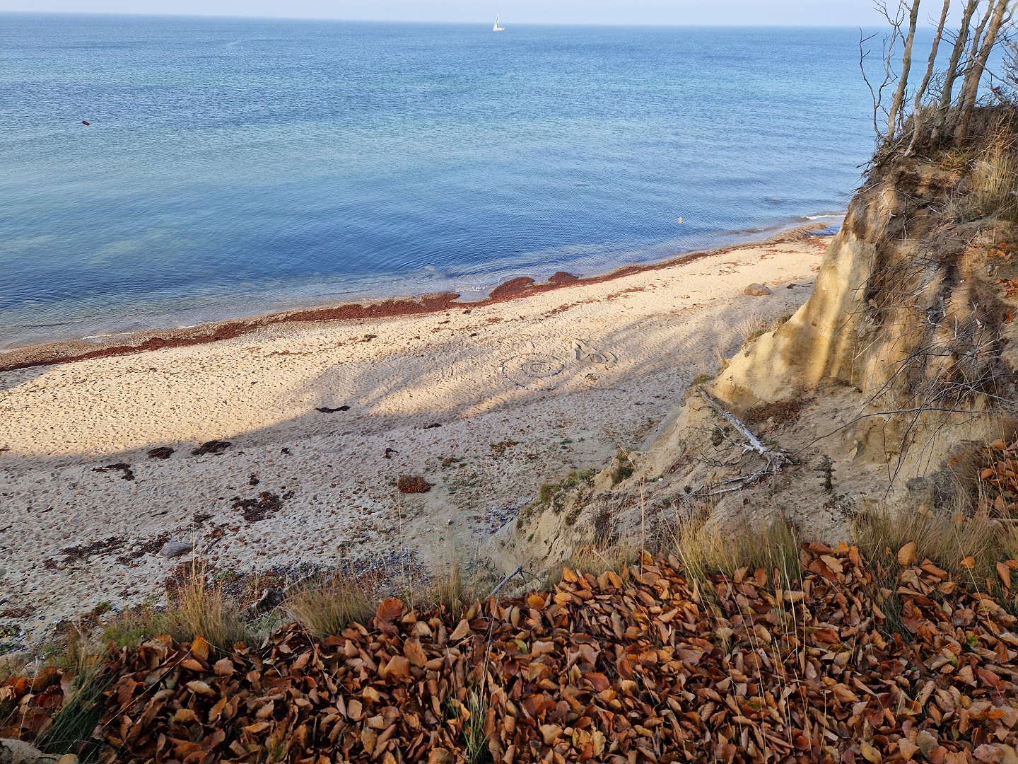 Heimathafen-dranske.de - Header