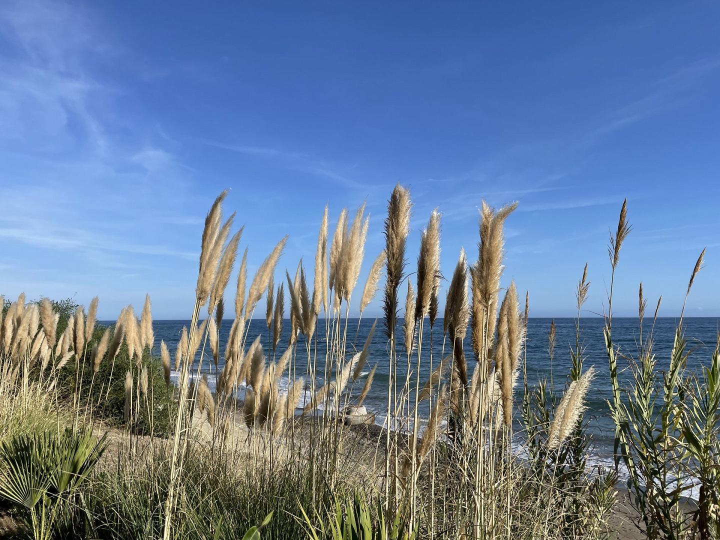 Ferienwohnung Röhler - Header
