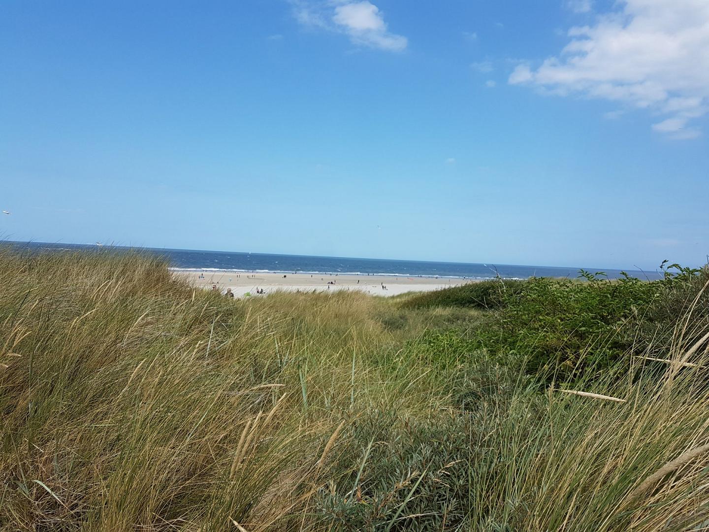 HWJ Ferienvermittlung - Header